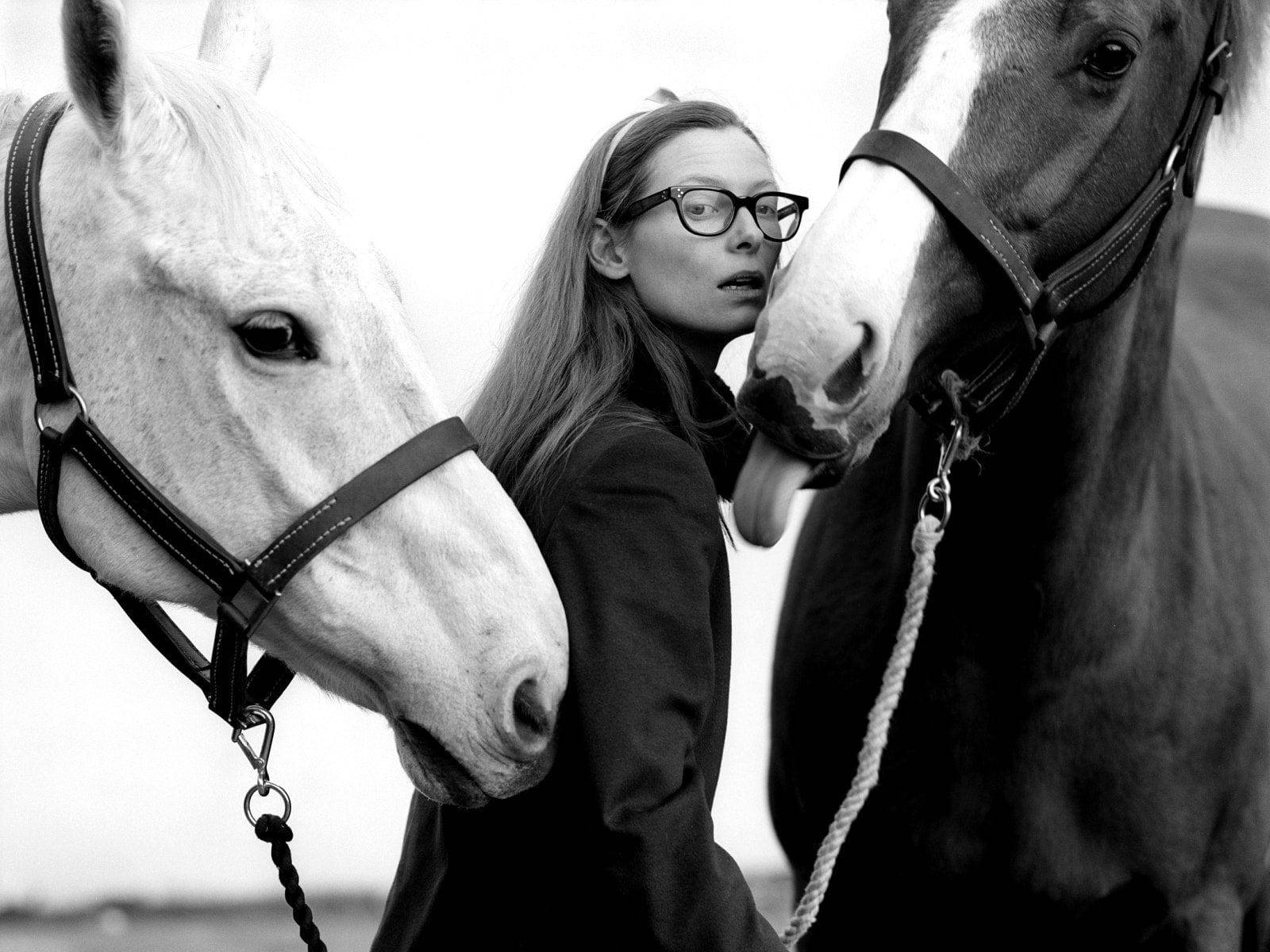 Tilda Swinton British Actress Horses Wallpaper