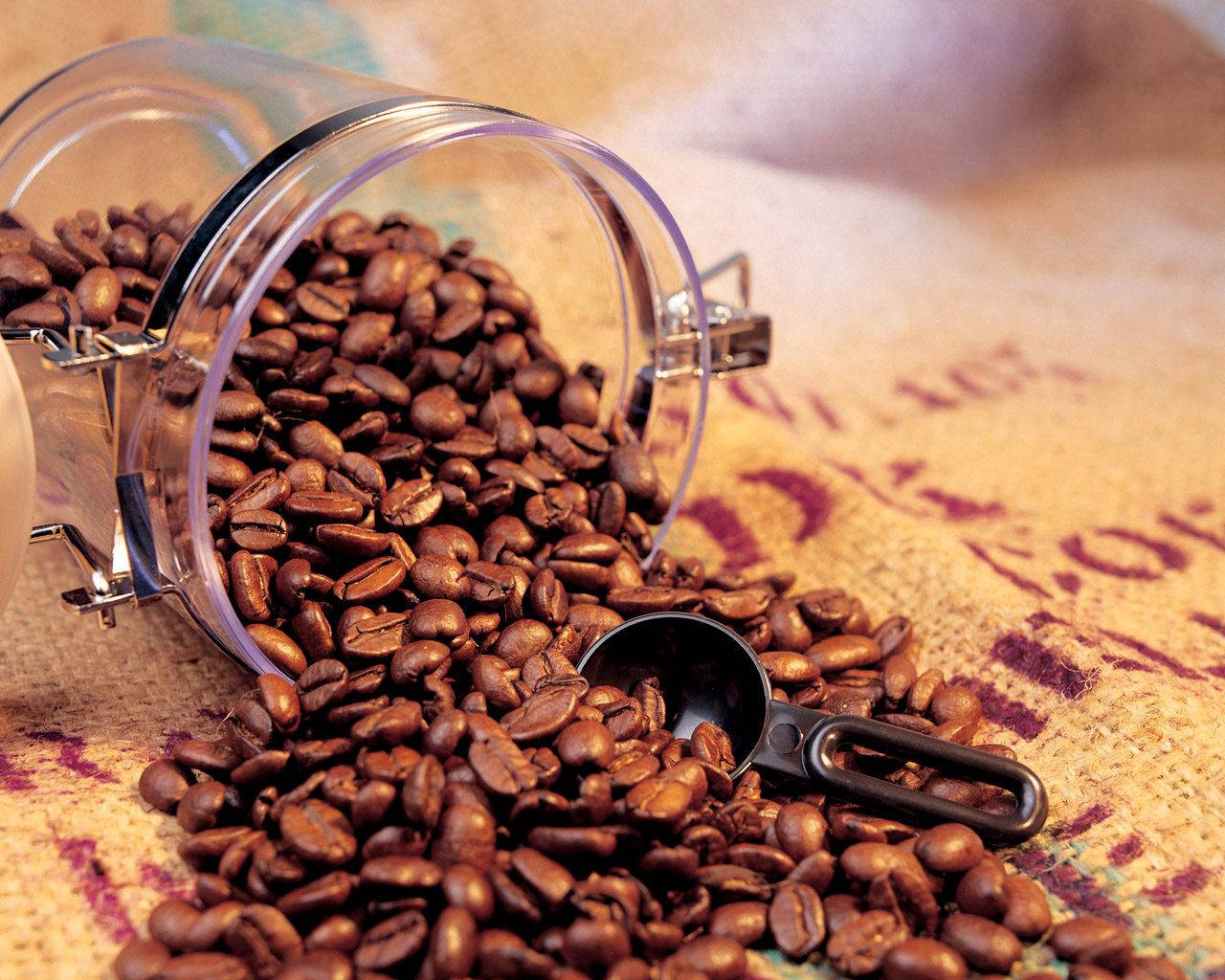 Grains of Freshly Roasted Coffee Wallpaper