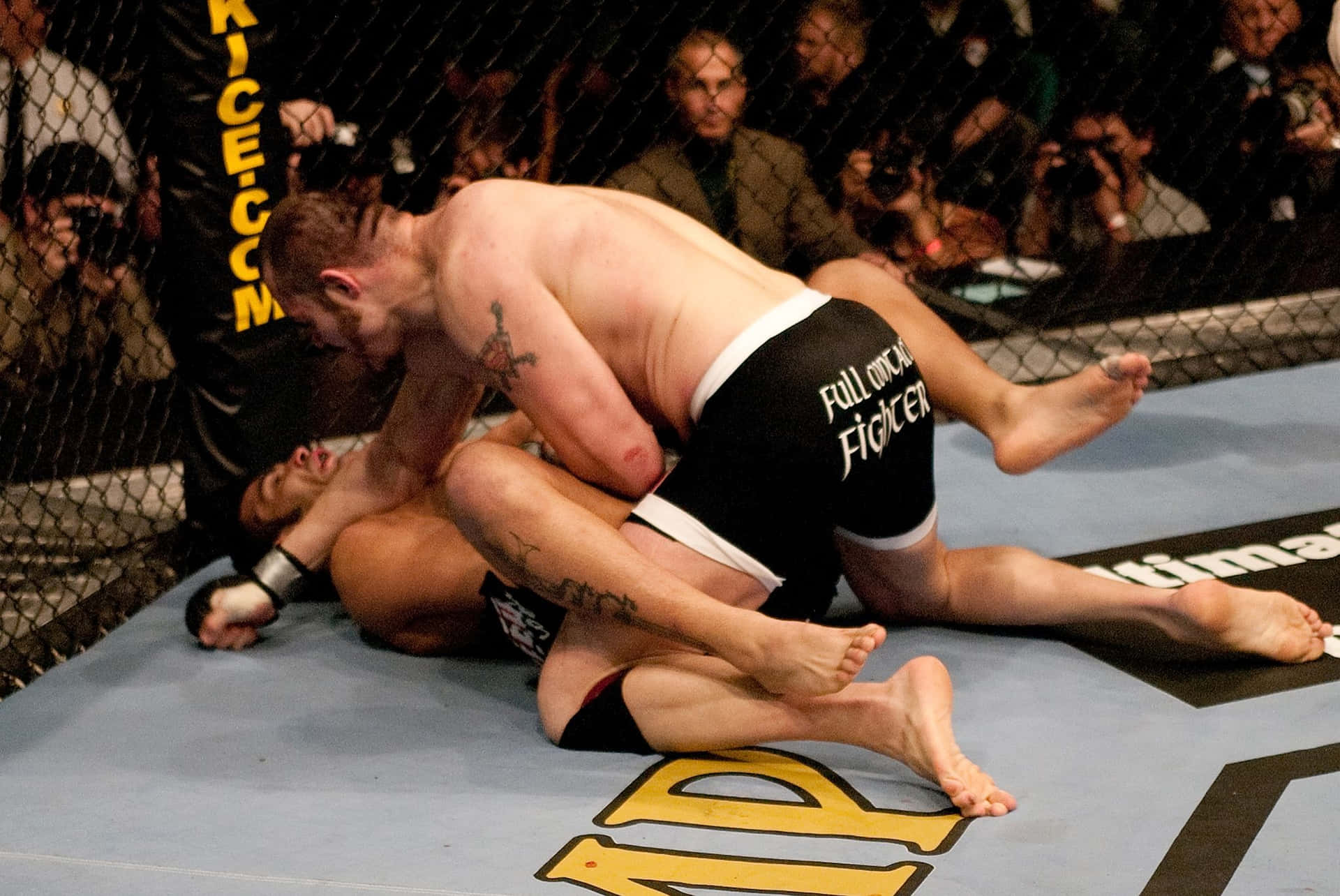 Tim Sylvia to-gangs UFC Mester Lomme tapet: Wallpaper