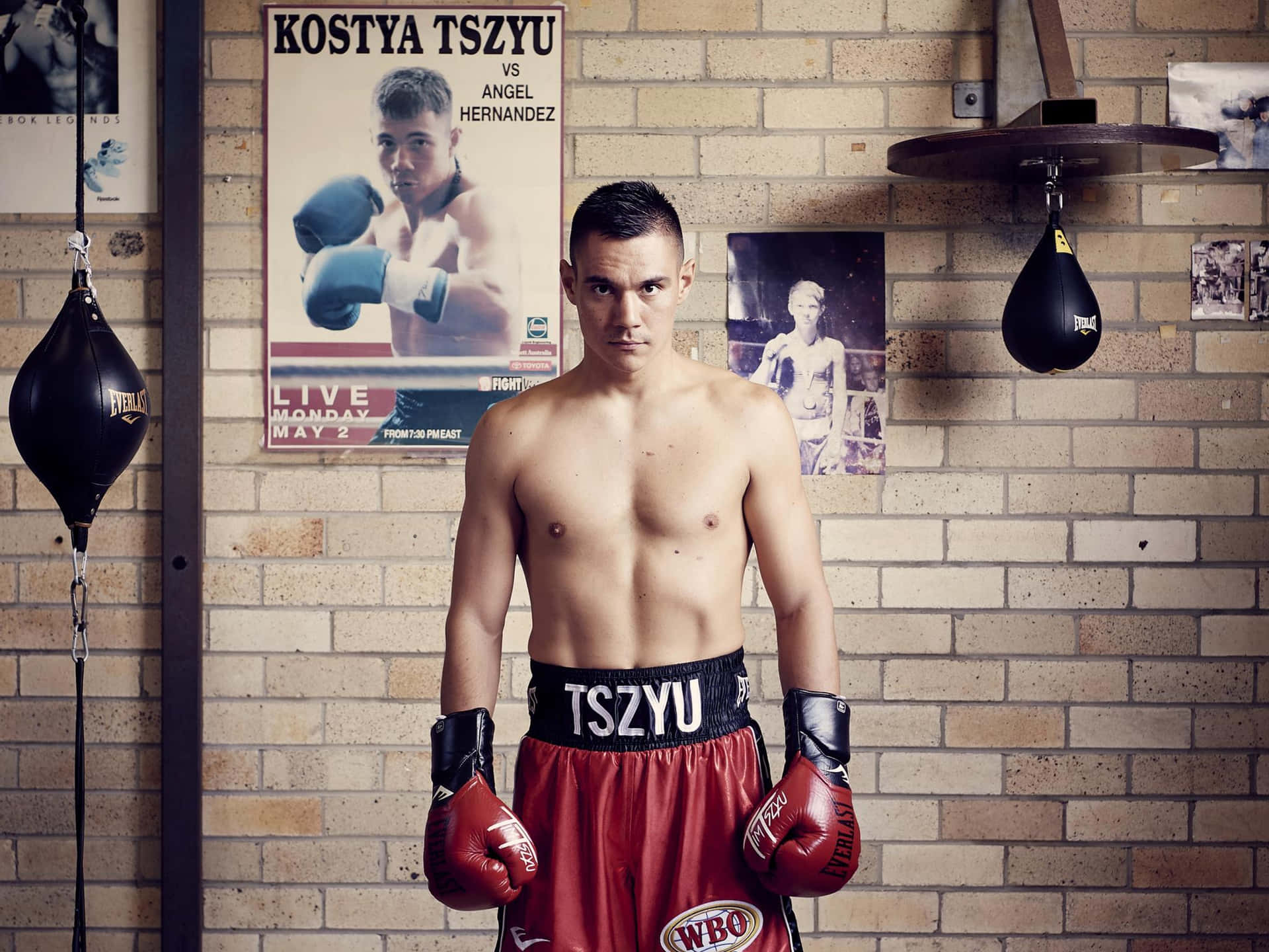 Tim Tszyu, Australian Professional Boxer Wallpaper