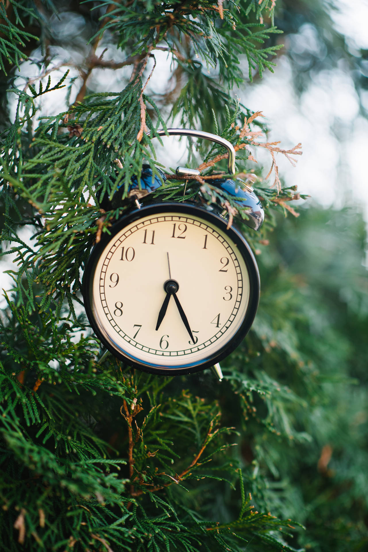 Time Clock On Christmas Tree Wallpaper