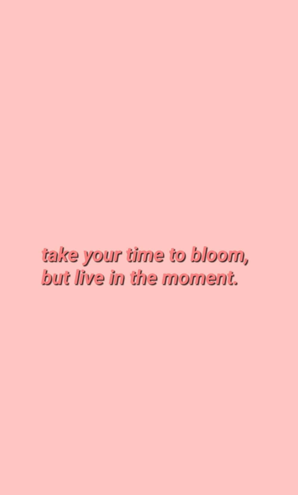 Time To Bloom Positive Quote Aesthetic.jpg Wallpaper