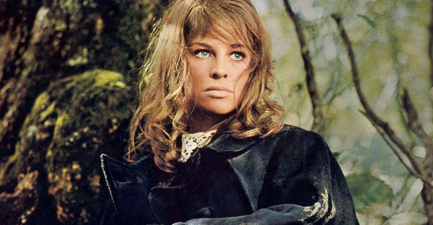 Timeless Beauty, Julie Christie Wallpaper