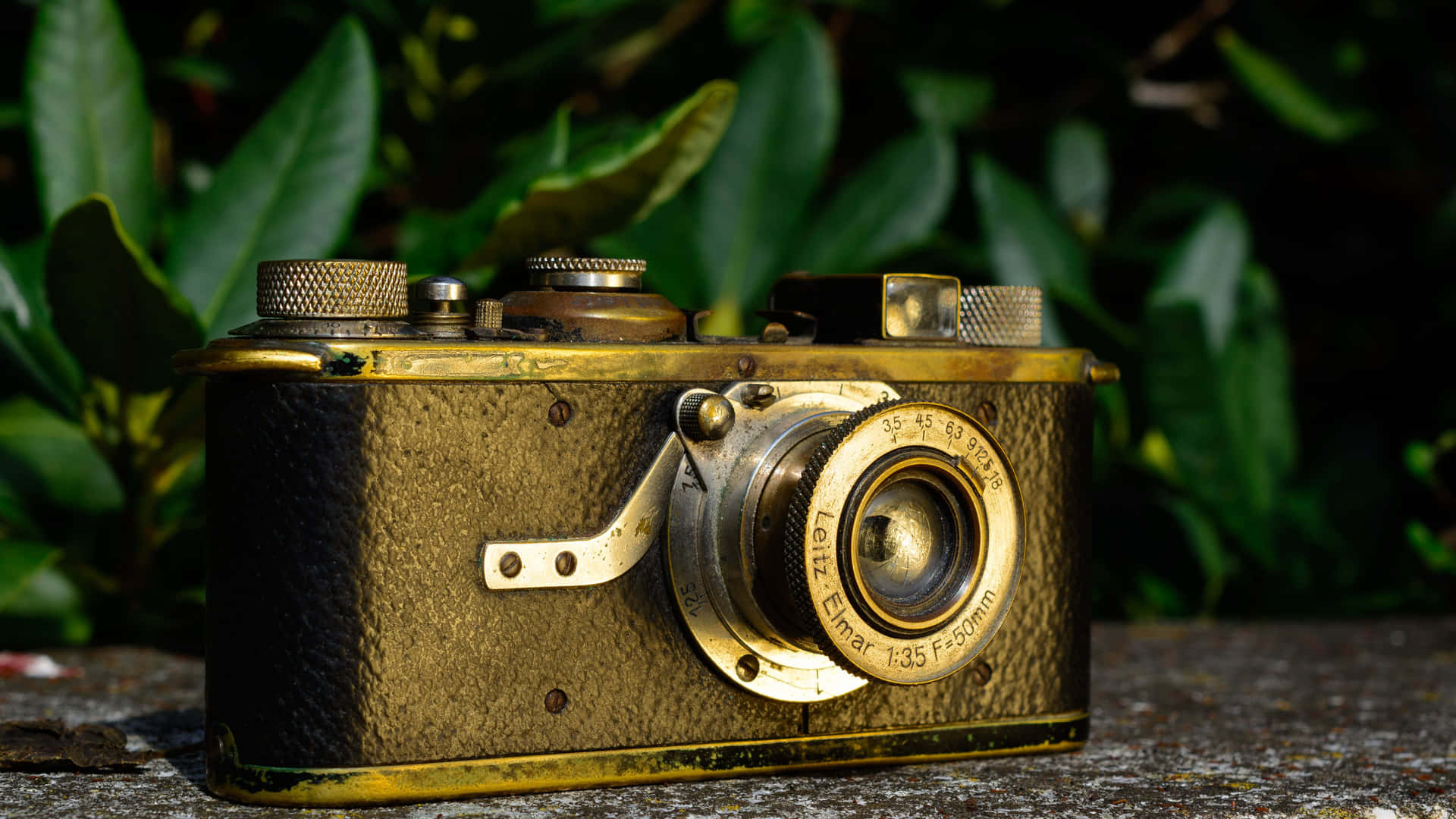 Timeless Elegance - A Vintage Camera In Black And White Wallpaper