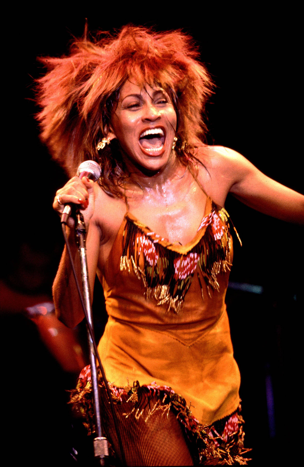 Tina Turner Live Concert Performance 80s Wallpaper
