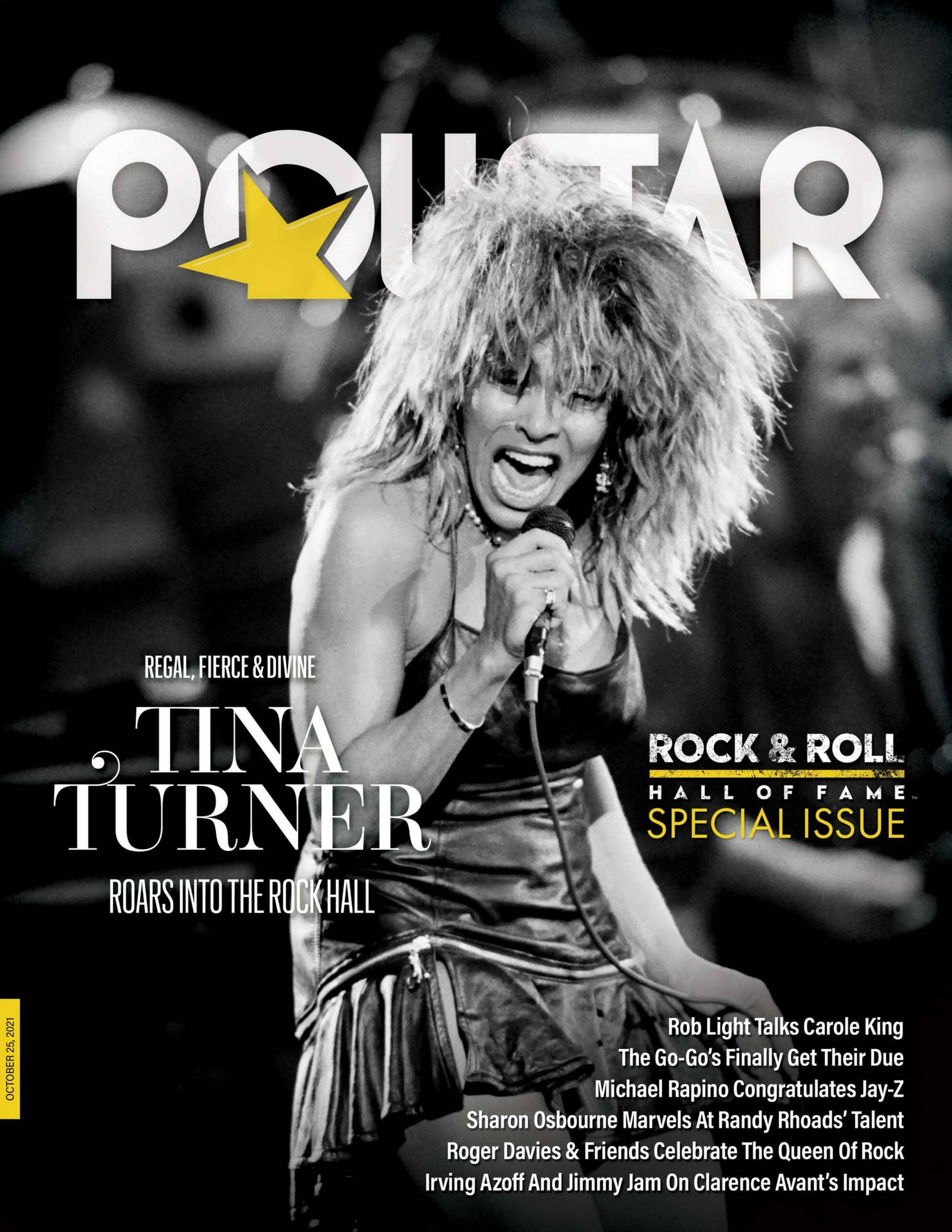 Tina Turner Rock Roll Poll Star Issue Wallpaper