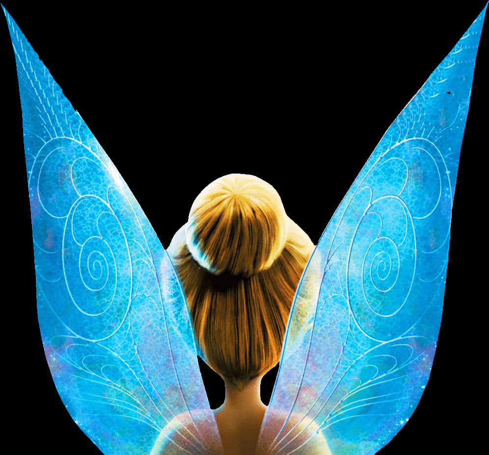 Tinkerbell Back Viewwith Wings PNG