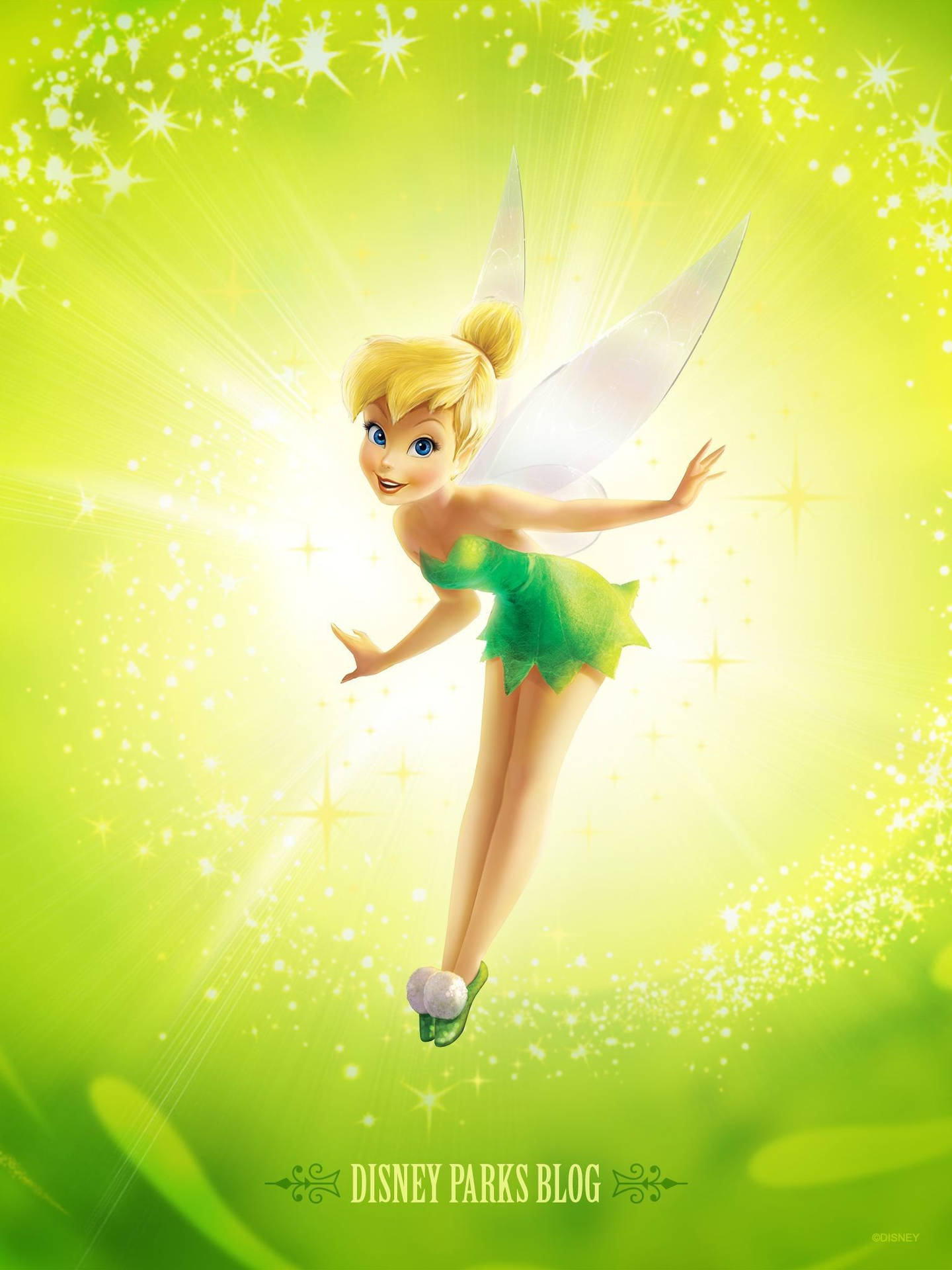 Free Tinkerbell Wallpaper Downloads, [100+] Tinkerbell Wallpapers for FREE  