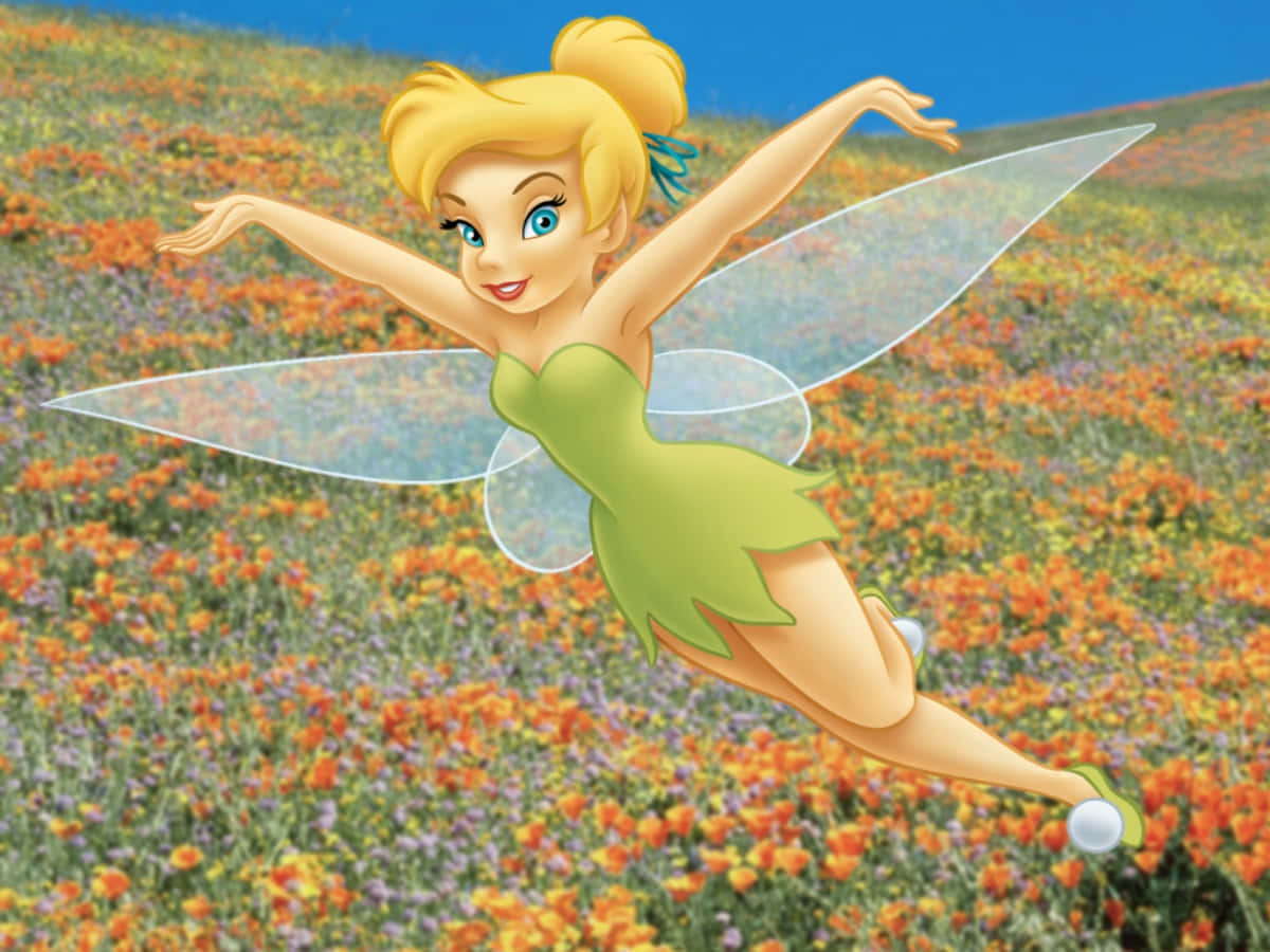 Discover the magic of Tinkerbell