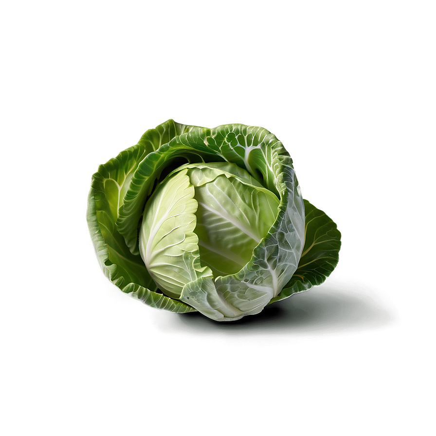 Tiny Cabbage Png Gdc56 PNG