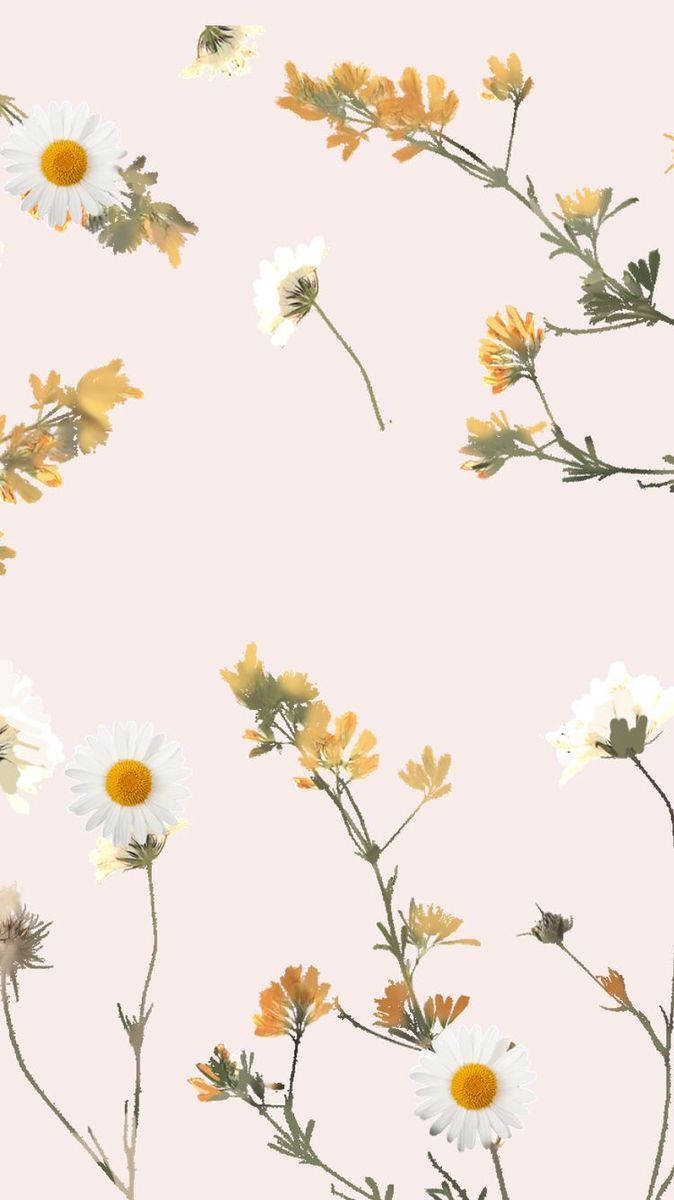 Tiny White Yellow Flowers Aesthetic Background