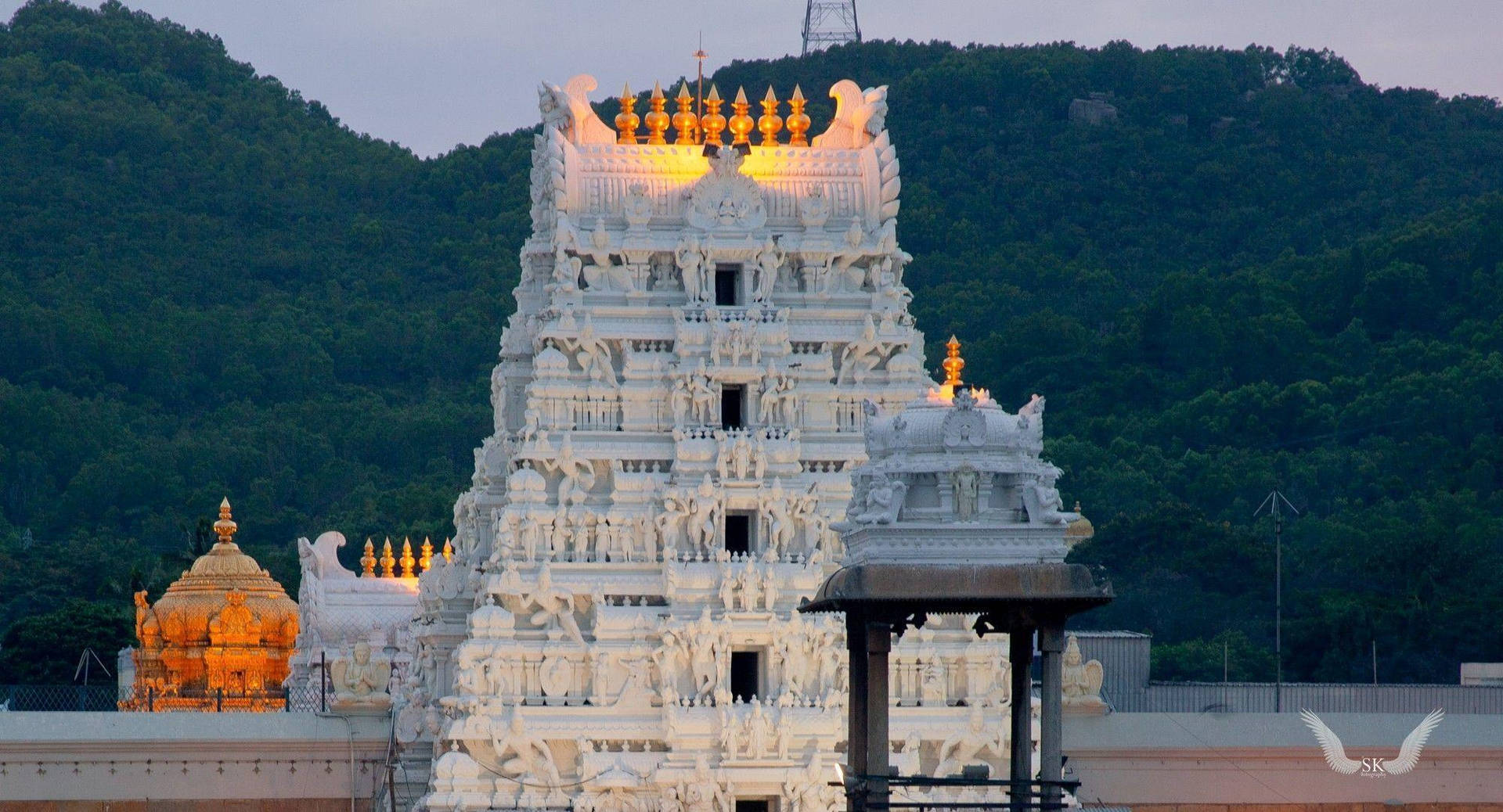 Download Tirupati Balaji Evening Temple Wallpaper 
