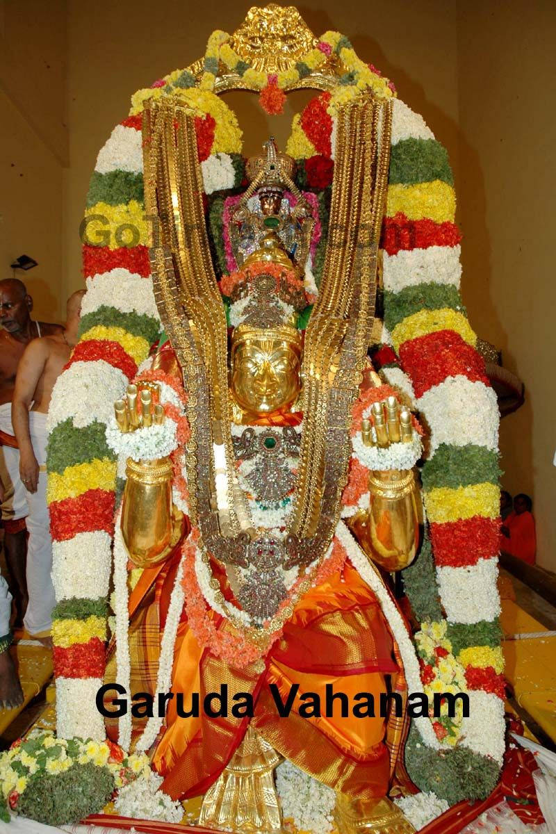 Tirupati Balaji Garuda Vahanam Sfondo