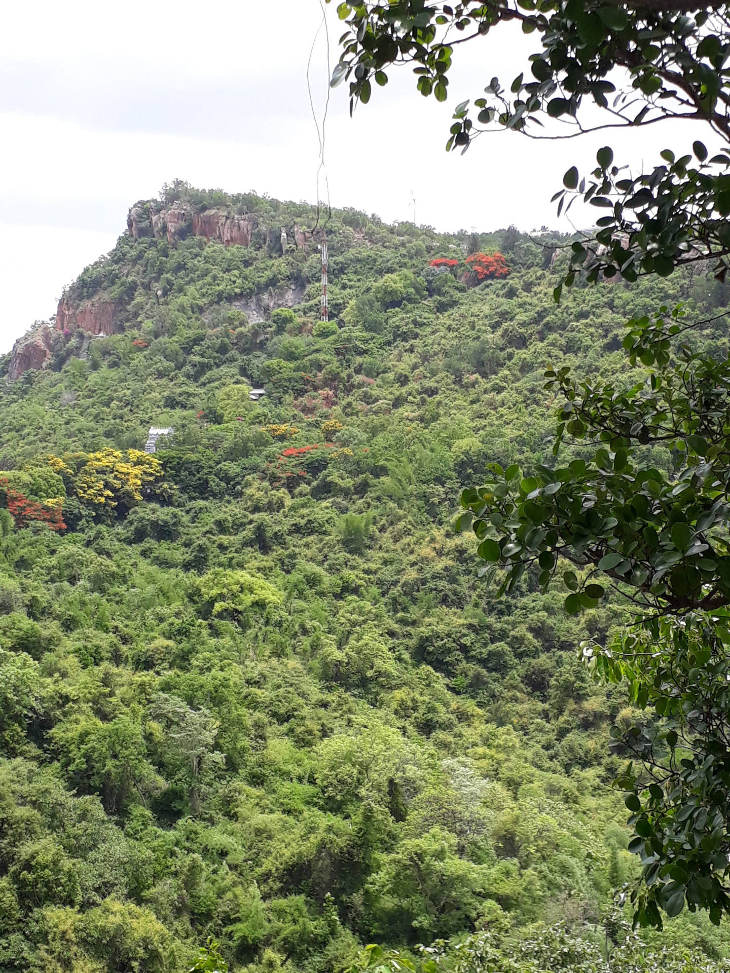Tirupatibalaji Rodeado De La Naturaleza Fondo de pantalla