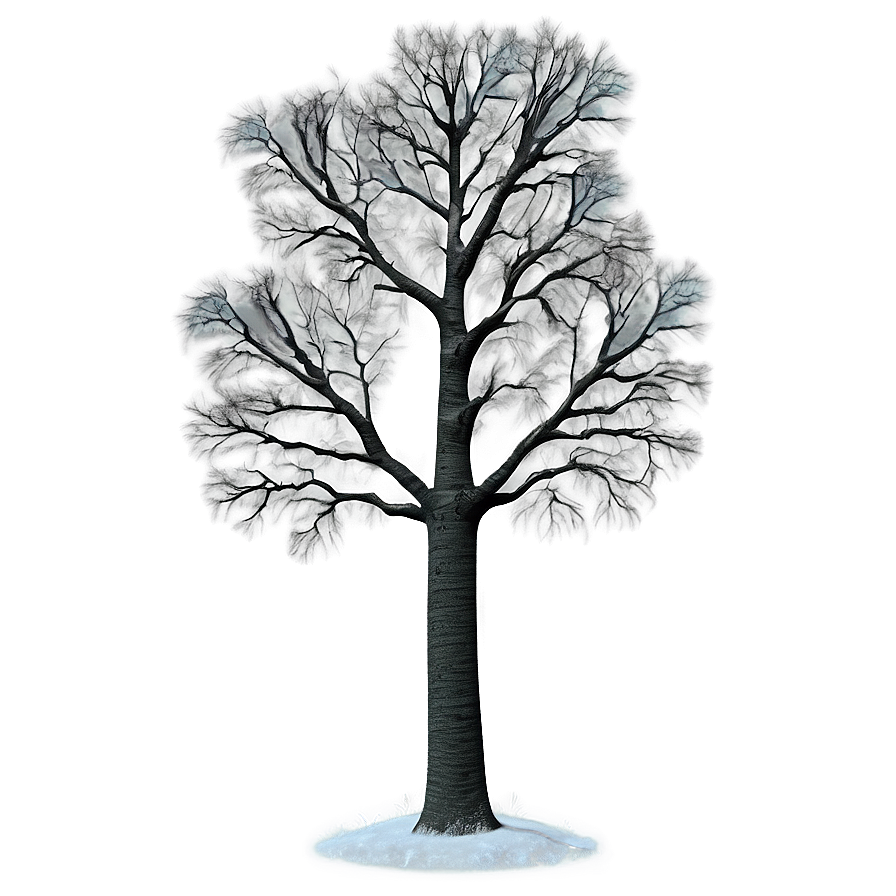 Titanic Poplar Tree Png Wcm PNG
