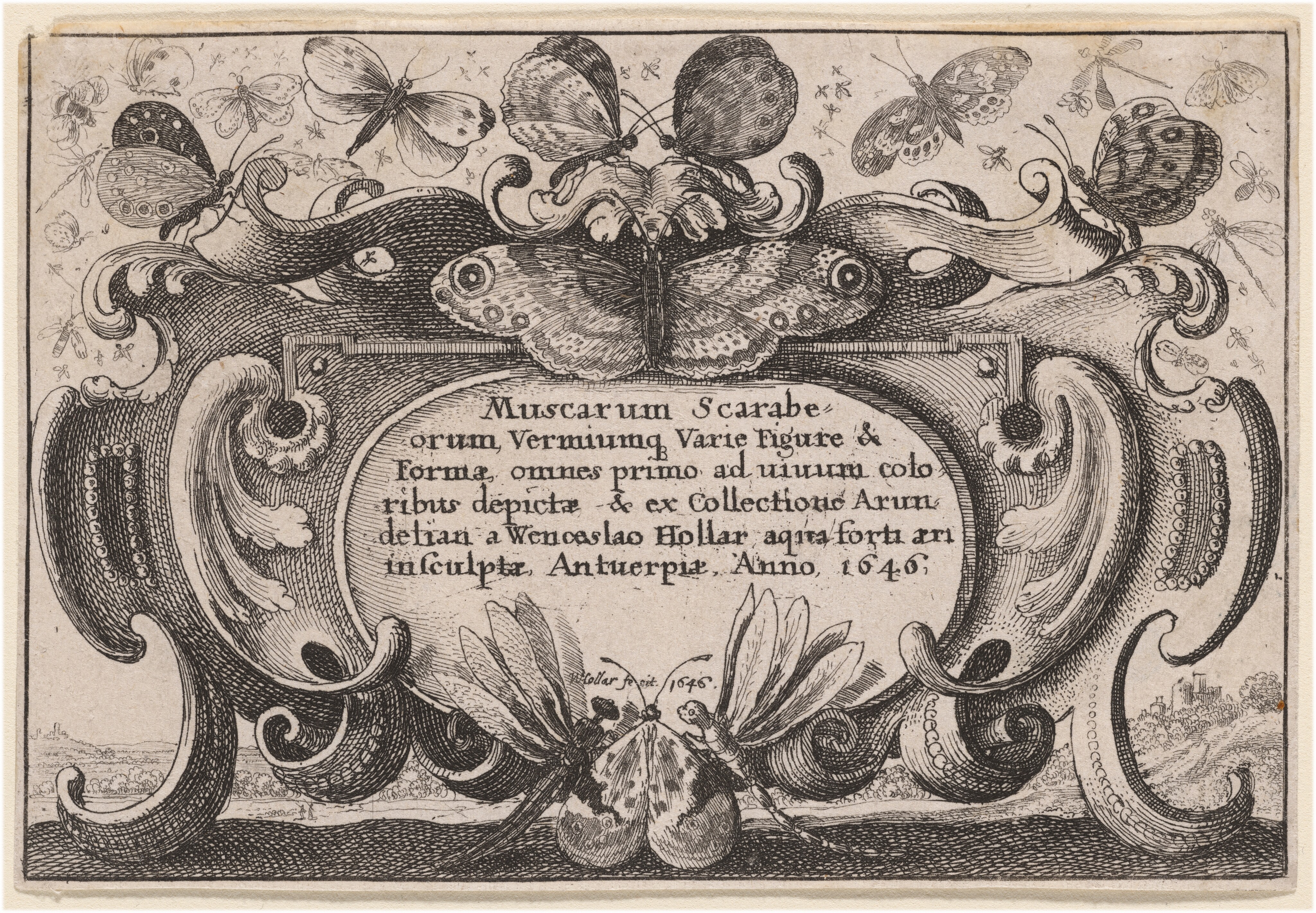 Title Page Wallpaper