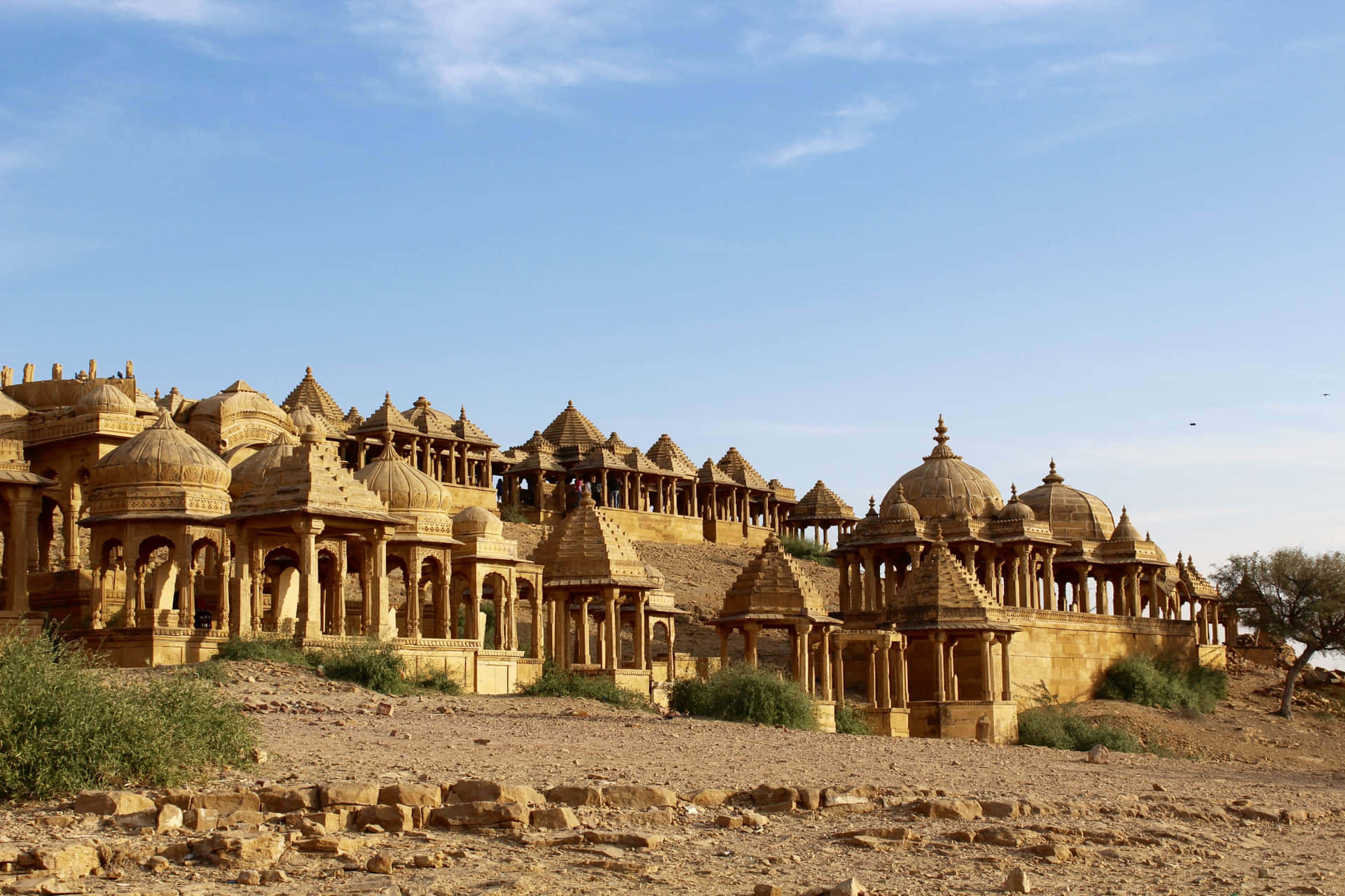 Titolocolori Vibranti E Ricca Cultura Del Rajasthan