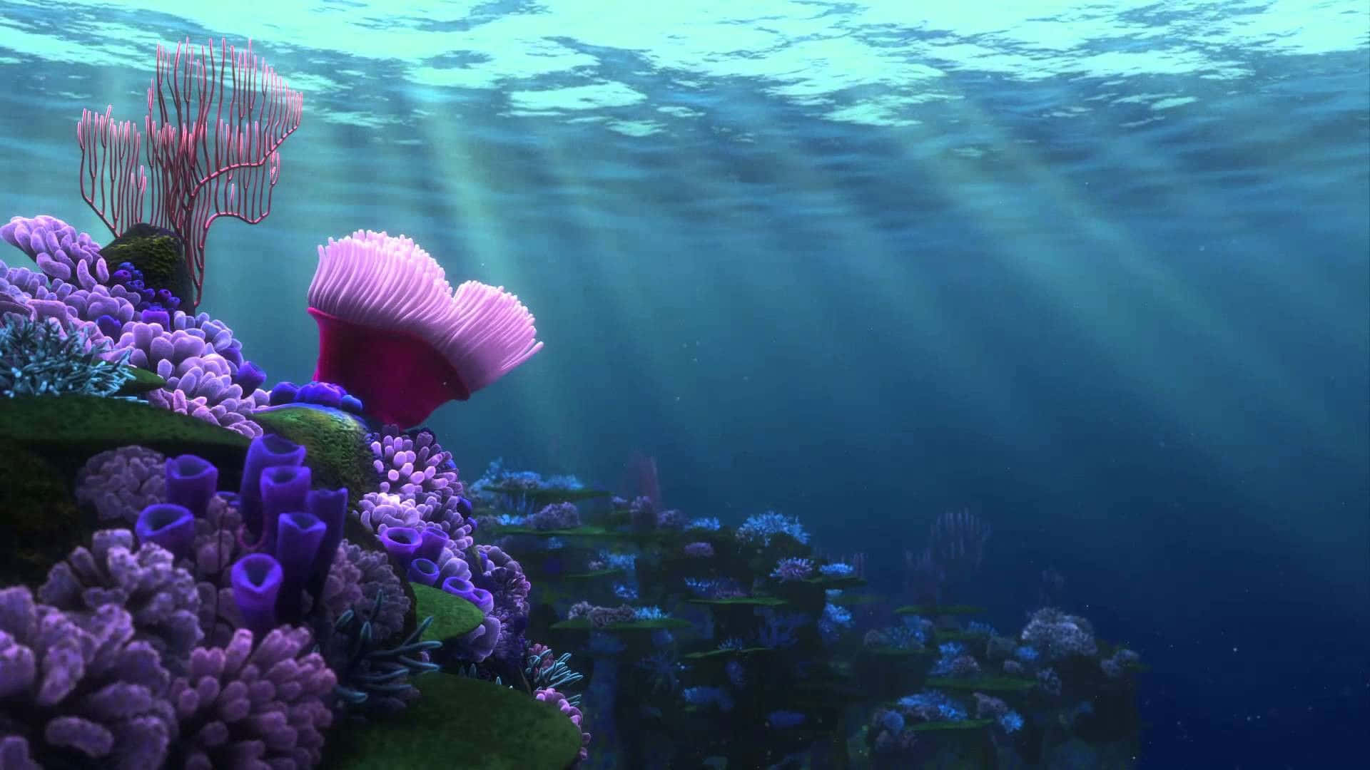 Títulouna Vibrante Aventura Submarina Con Nemo Y Sus Amigos