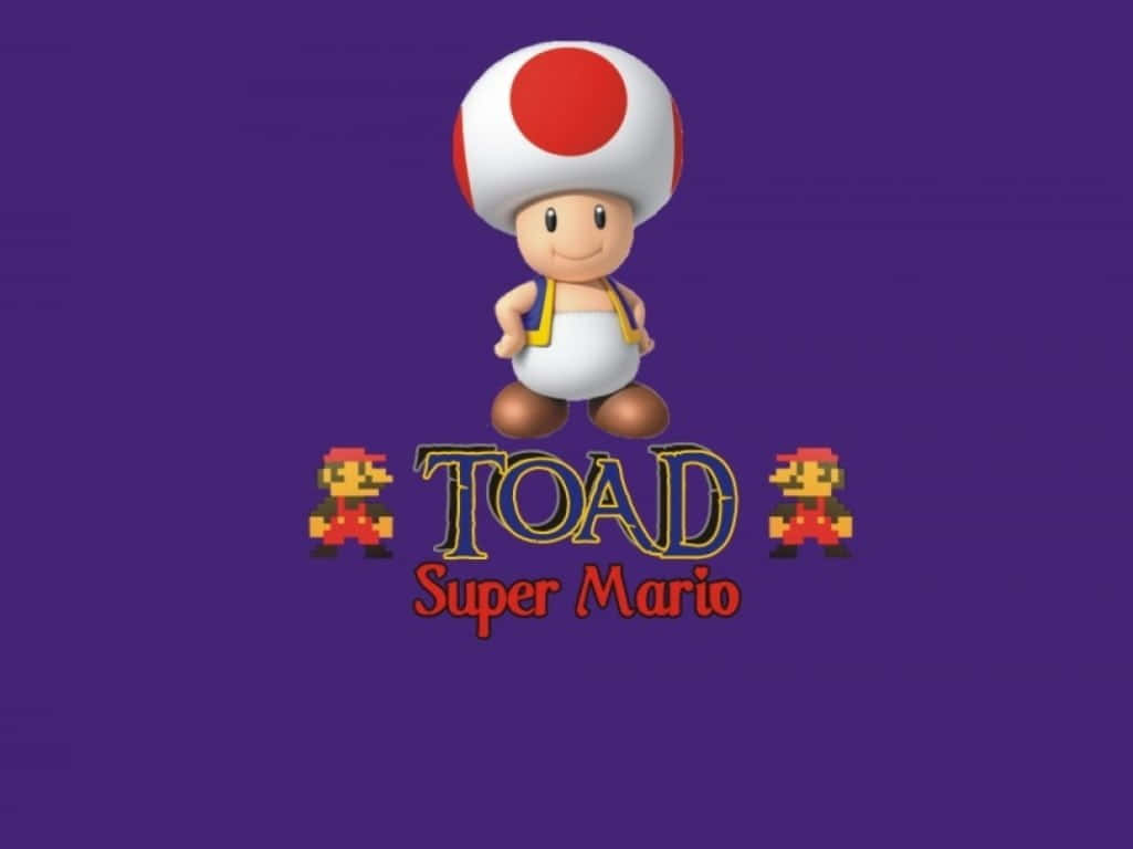A Toad's Stare in the Wild Wallpaper