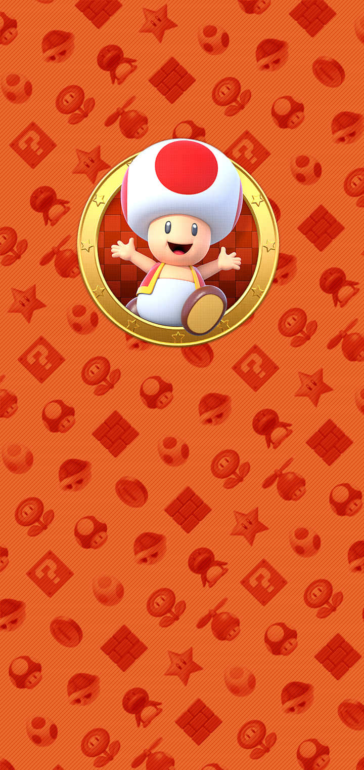 Toad Wallpapers  Top Free Toad Backgrounds  WallpaperAccess