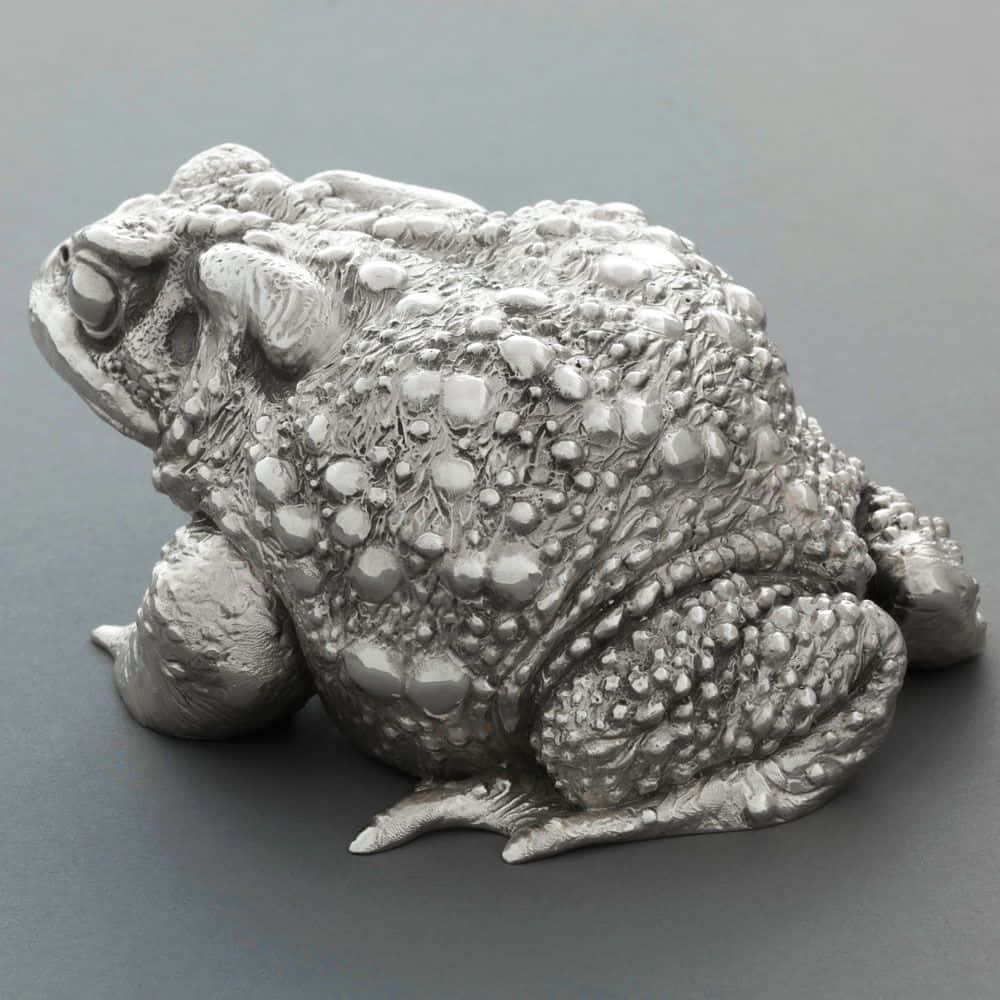 Monochromatic Toad Picture