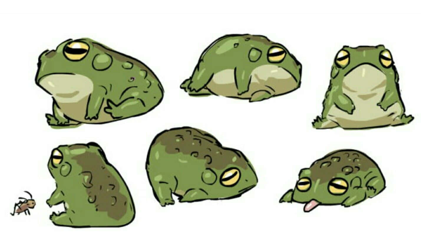 Toad Frog Art Picture