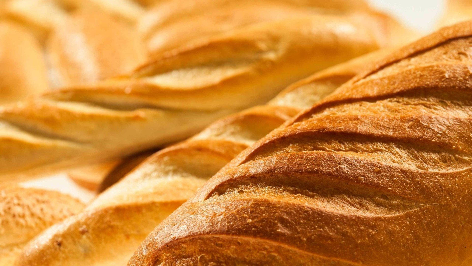 Toasted Bread Wallpaper