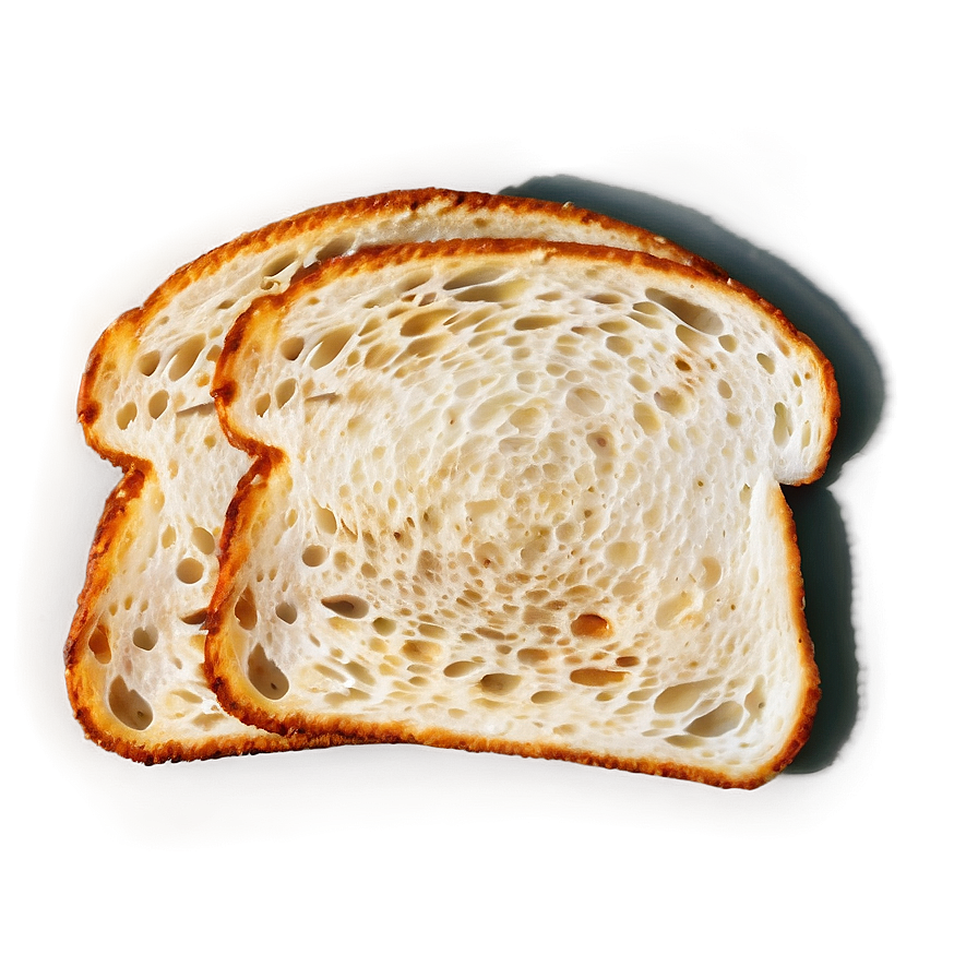 Toasted Bread Slice Png Pms65 PNG