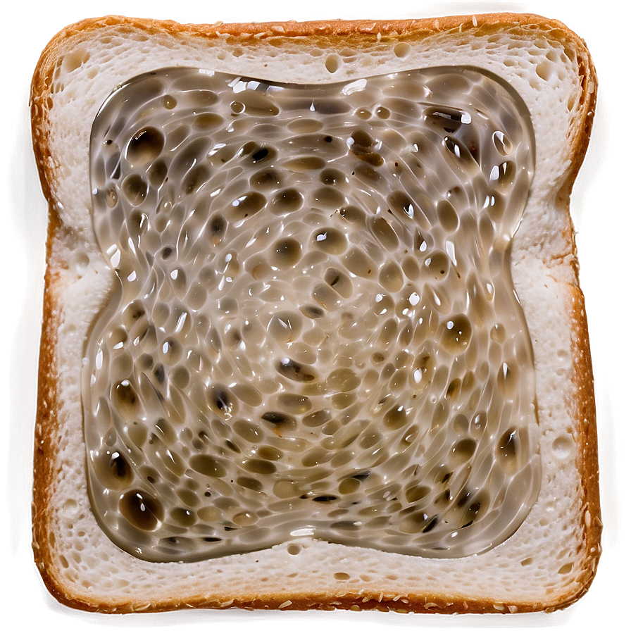 Toasted Bread Slice Png Yhp PNG