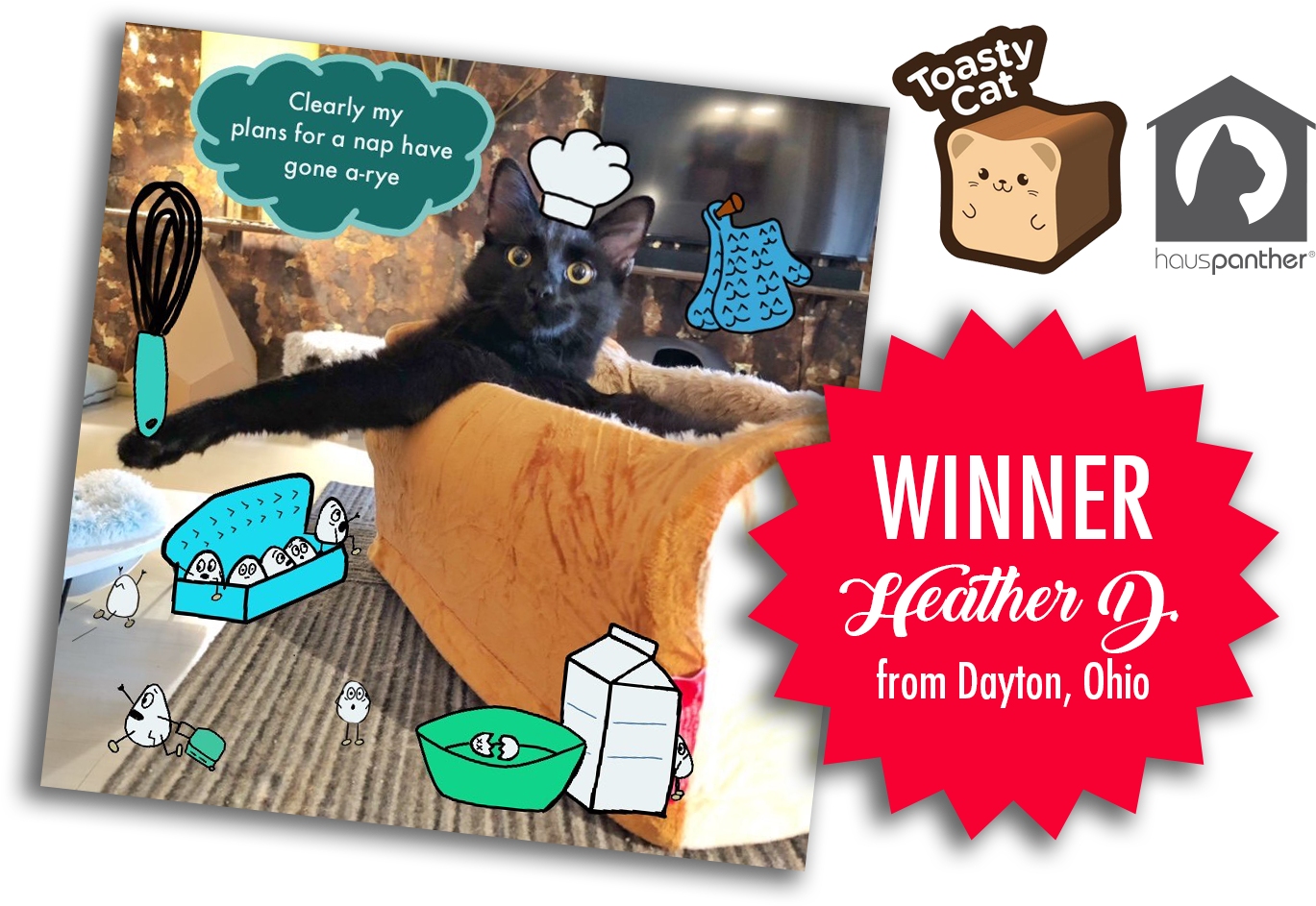 Toasty Cat Winner Heather Dayton Ohio PNG