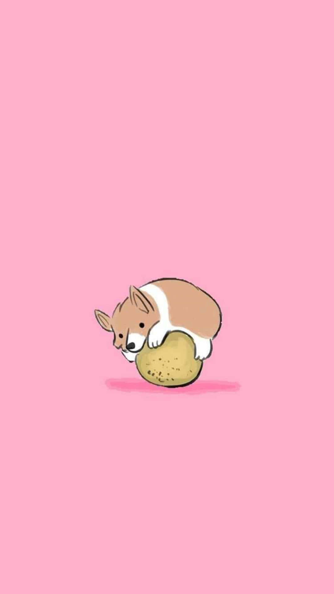 A Dog Is Sleeping On A Pink Background