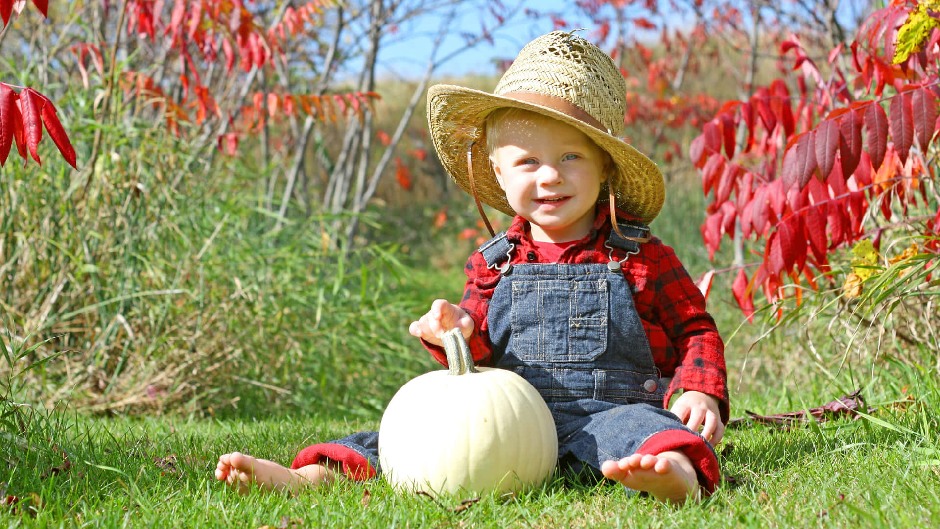 Toddler Country Boy With Pumpkin Wallpaper