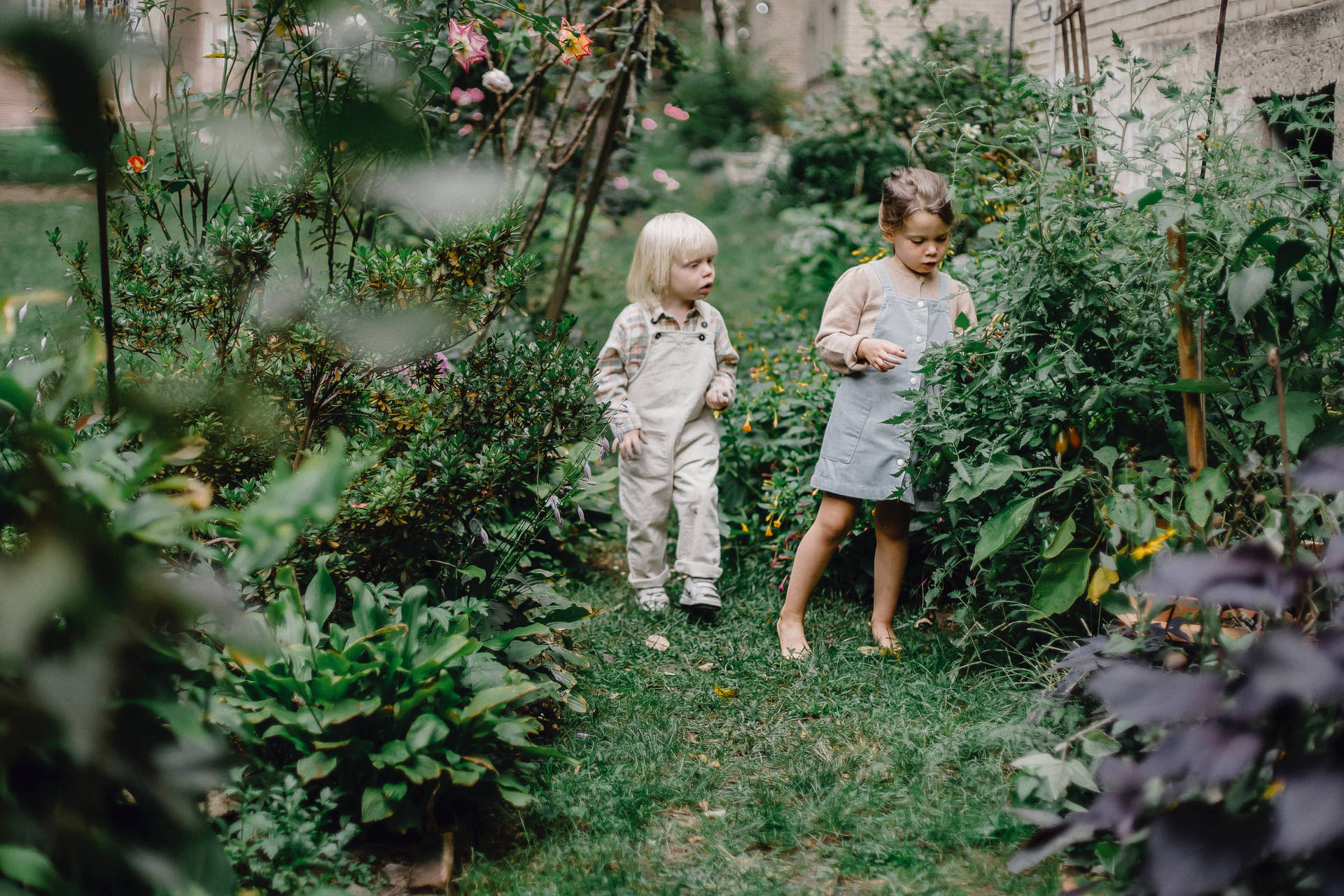 Toddlers In The Garden