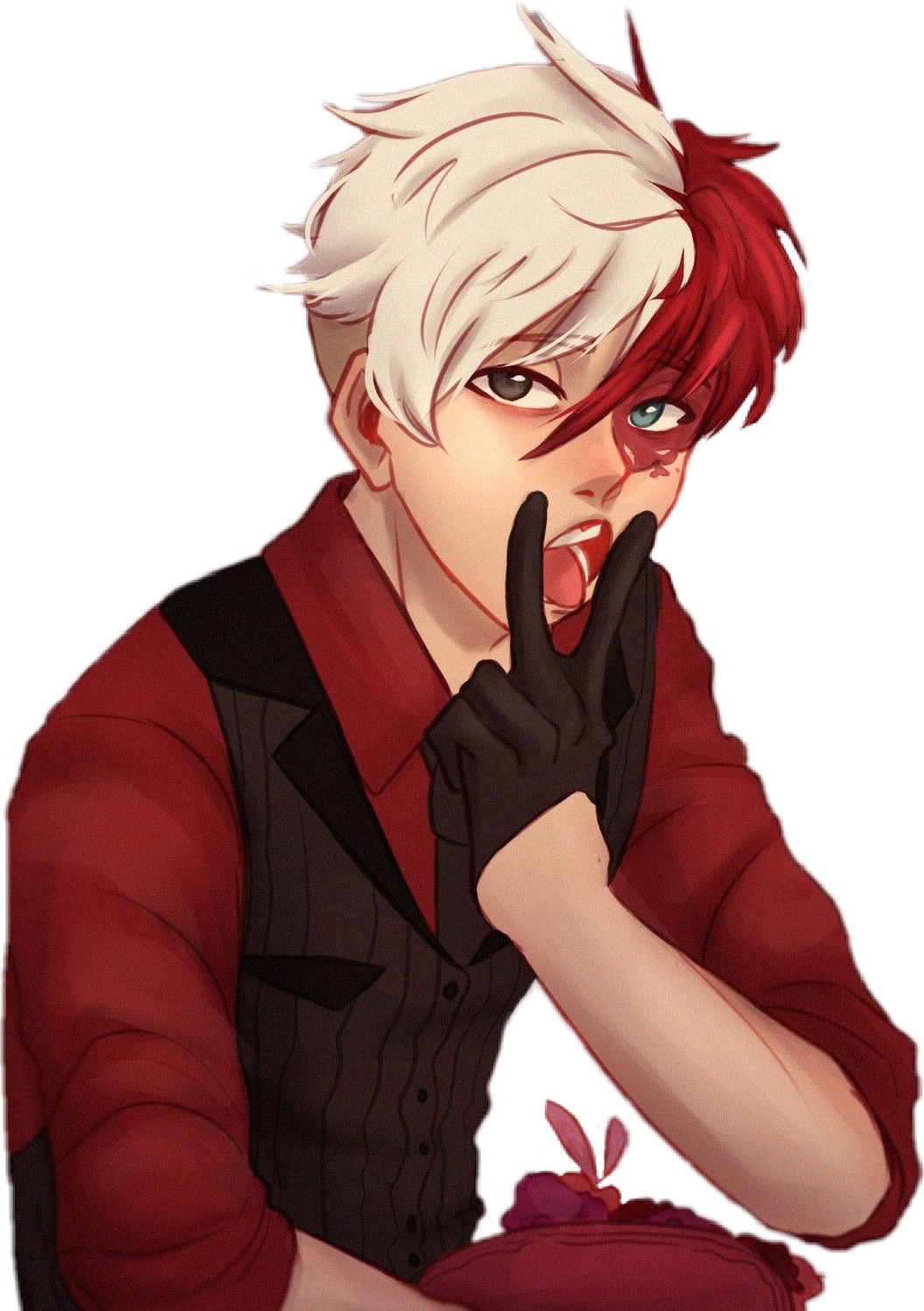 Todoroki Anime Character Art PNG