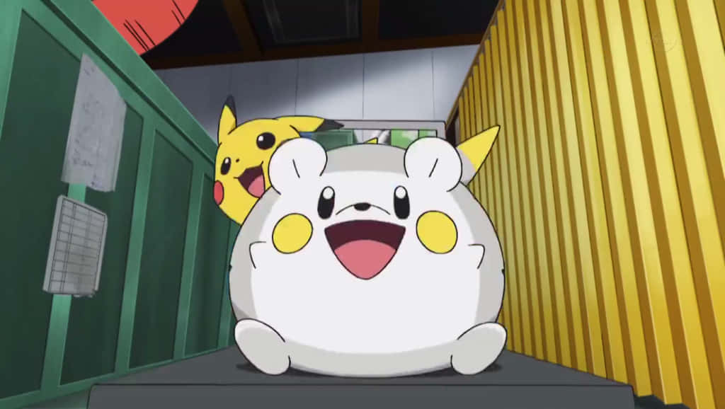 Togedemaru And Pikachu Having Fun Wallpaper
