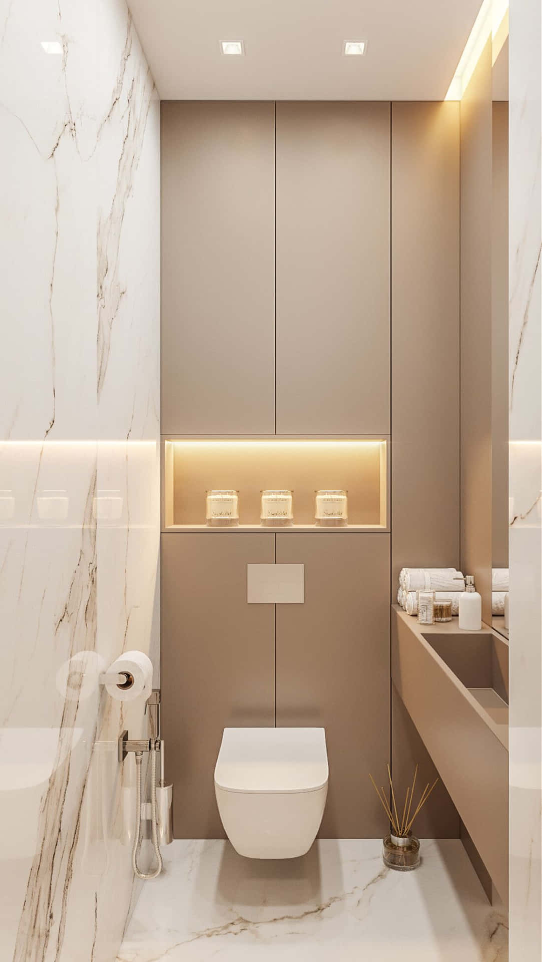 Modern Toilet Design in Elegant Bathroom