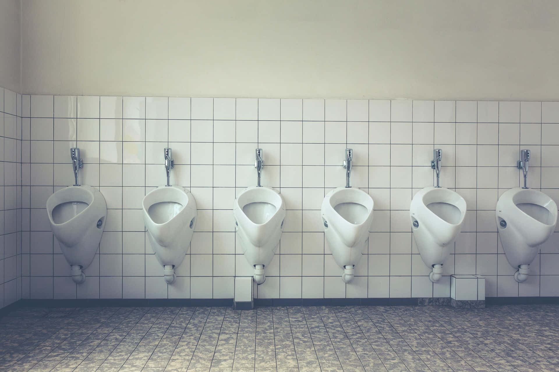 Enrad Med Urinaler På En Toalett