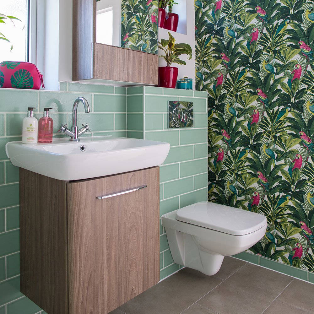 Toilet Tropical Rainforest Parrot Wallpaper