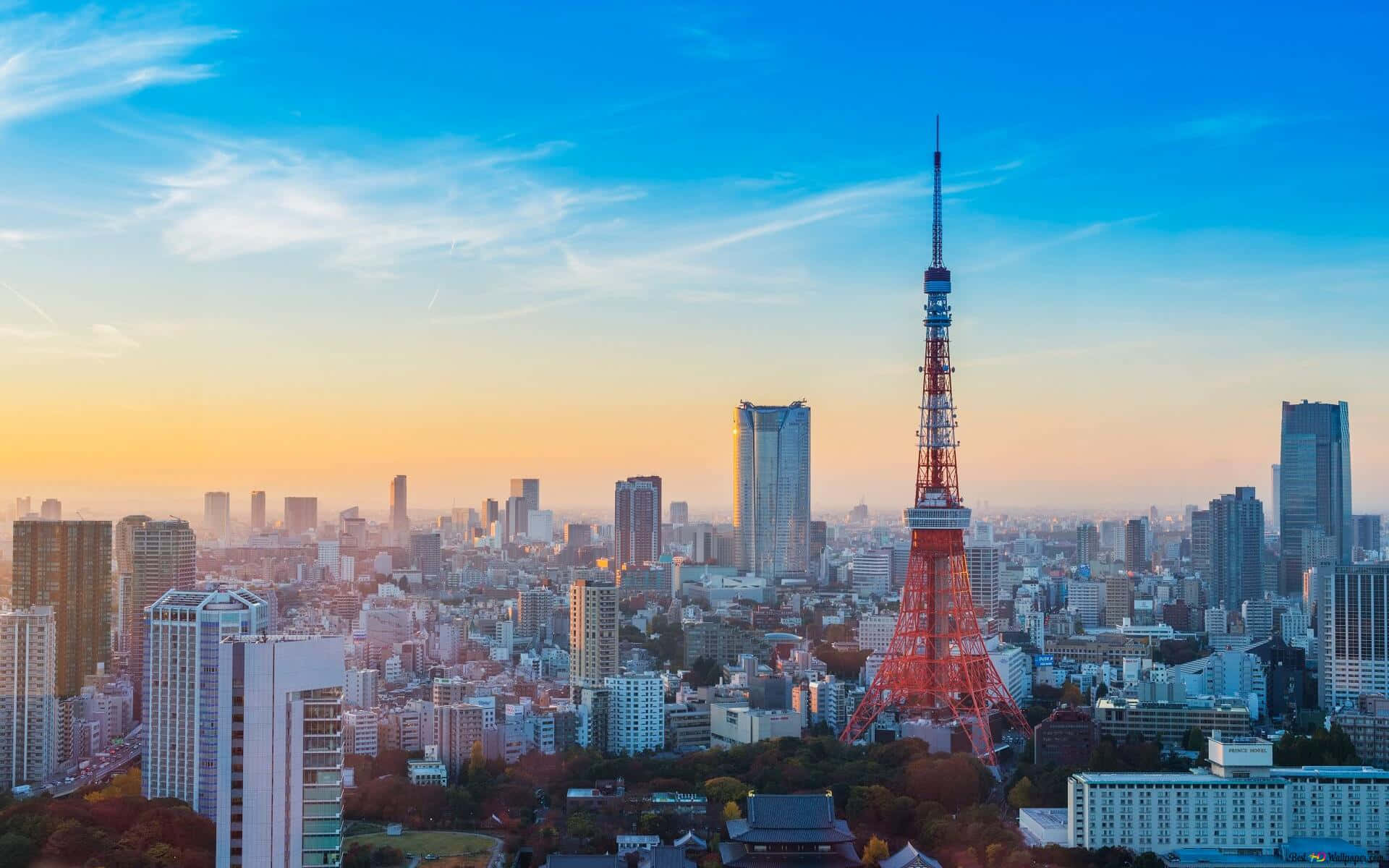 Tokyobakgrund Tokyo Tower Vid Soluppgång