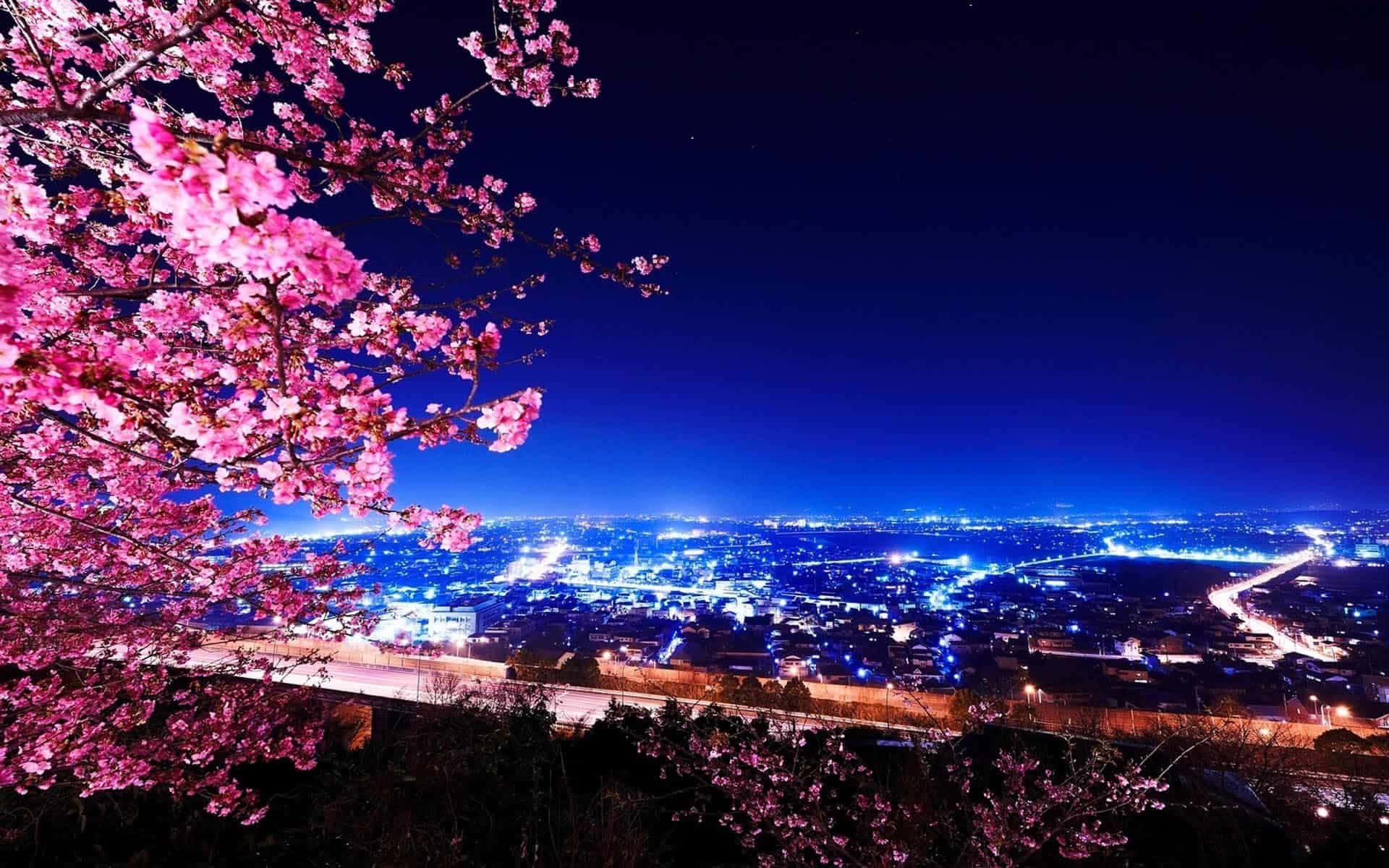 Fondode Pantalla De Tokio Con Árbol De Sakura Frente A La Ciudad.
