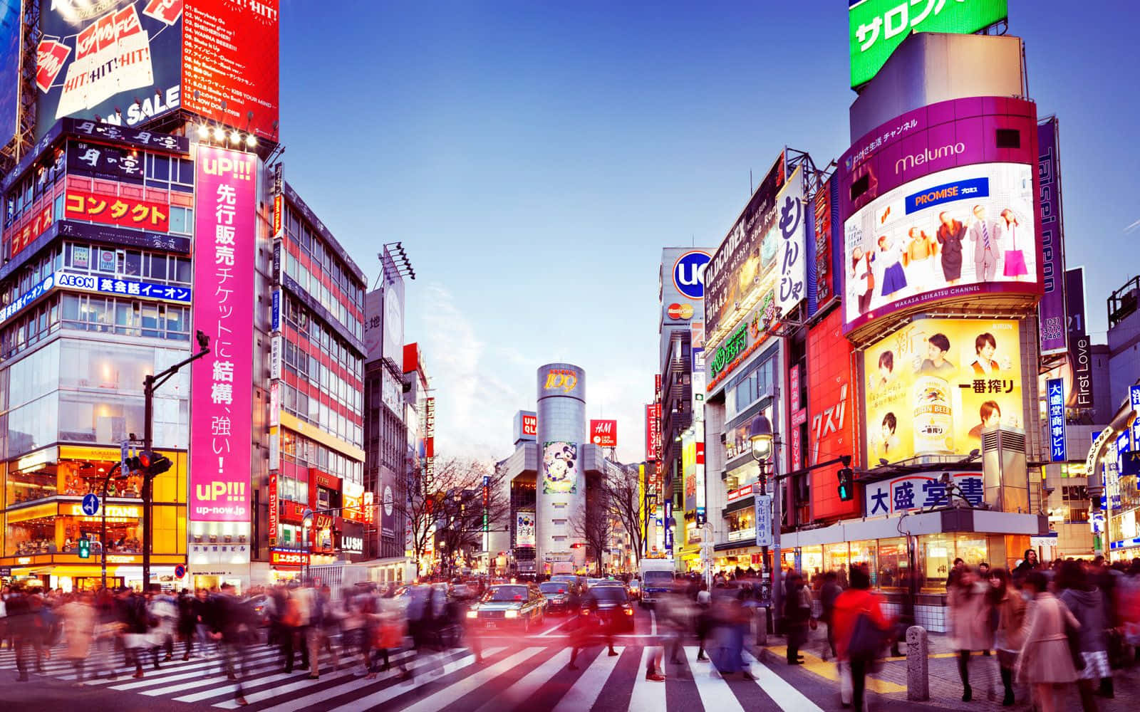 Tokyo Background Blurry Shibuya Crossing