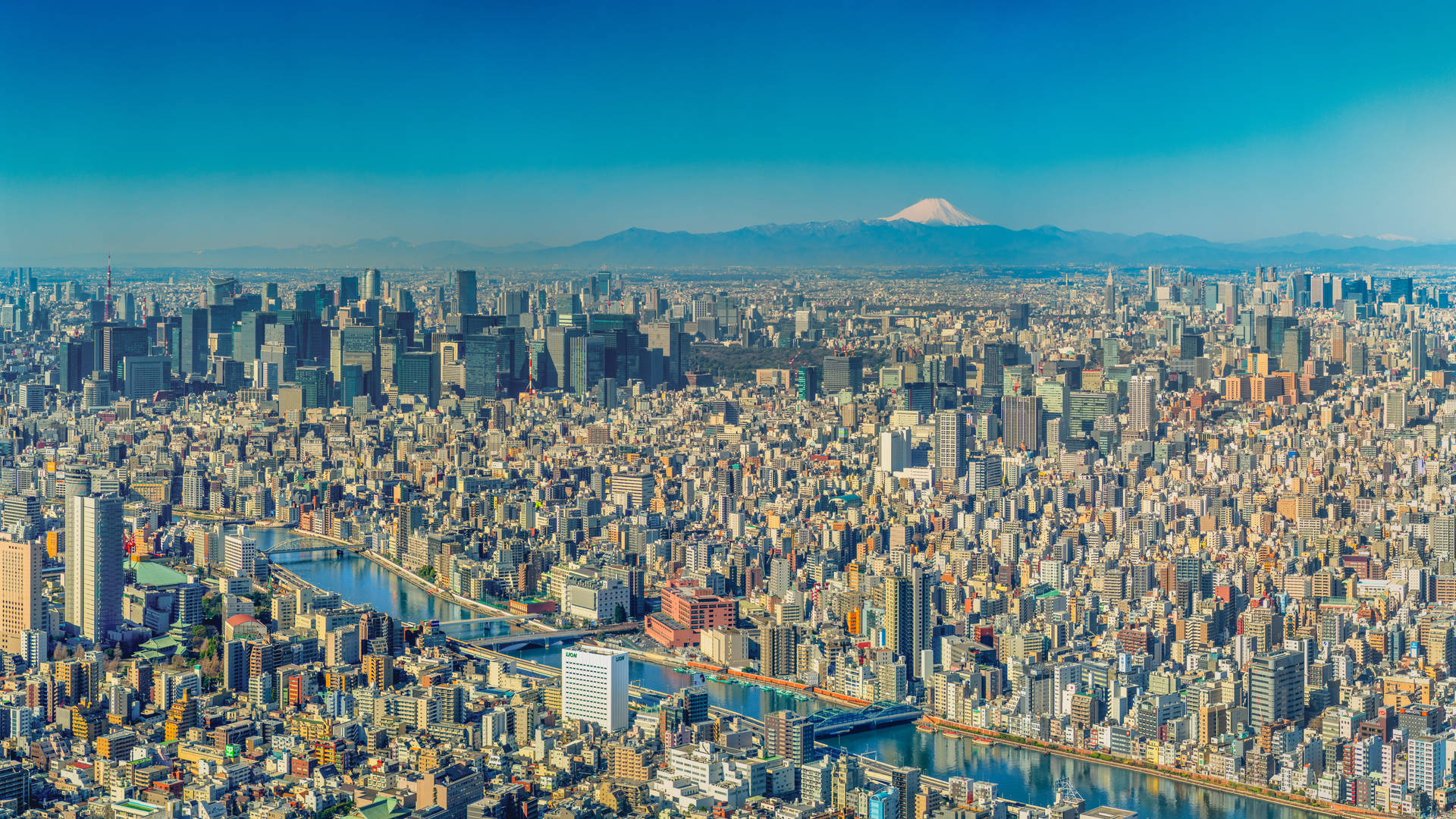 Tokiostadt Und Der Berg Fuji Wallpaper
