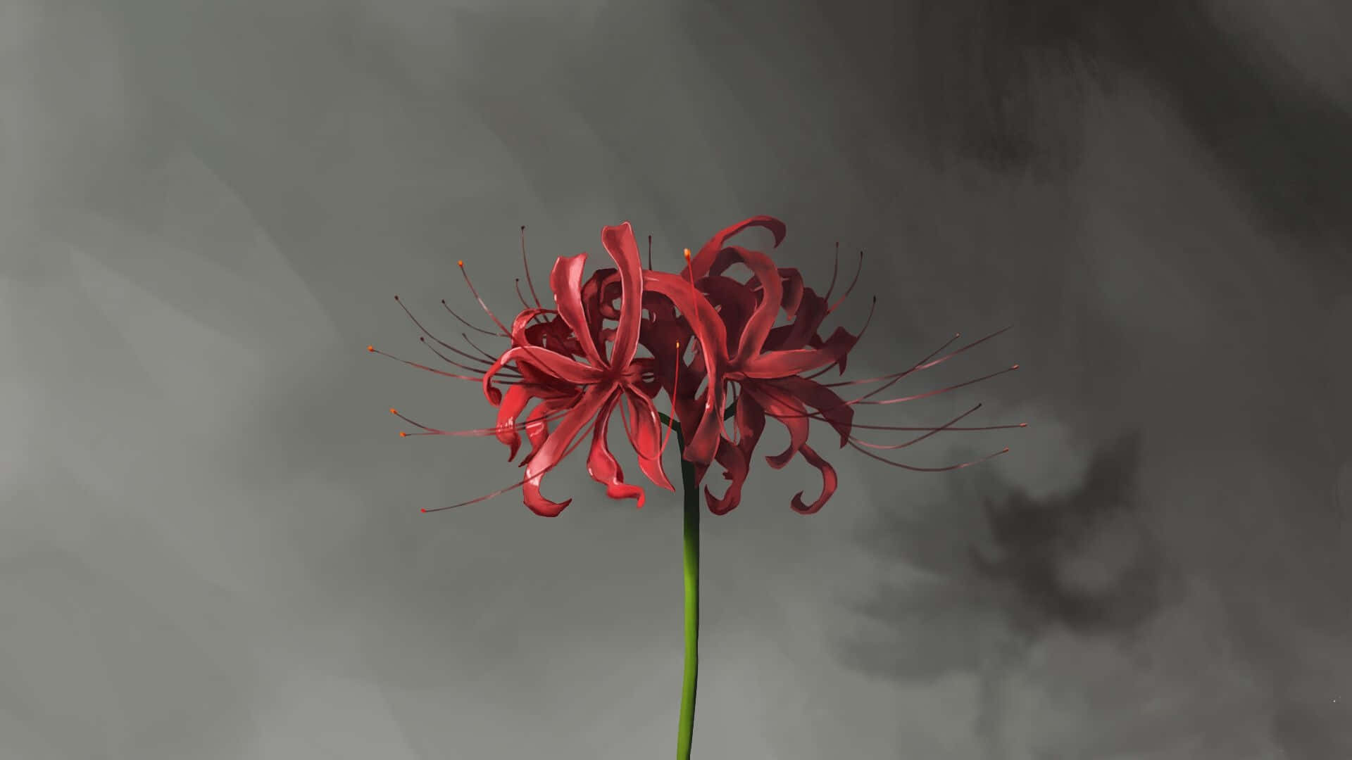 Tokyo Ghoul Flower With Shadow Wallpaper