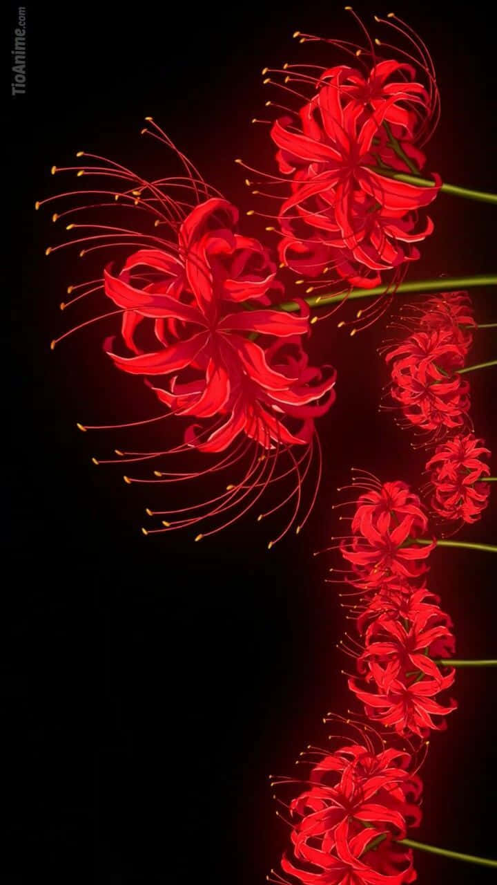 Tokyoghoul Flor En Vertical Fondo de pantalla