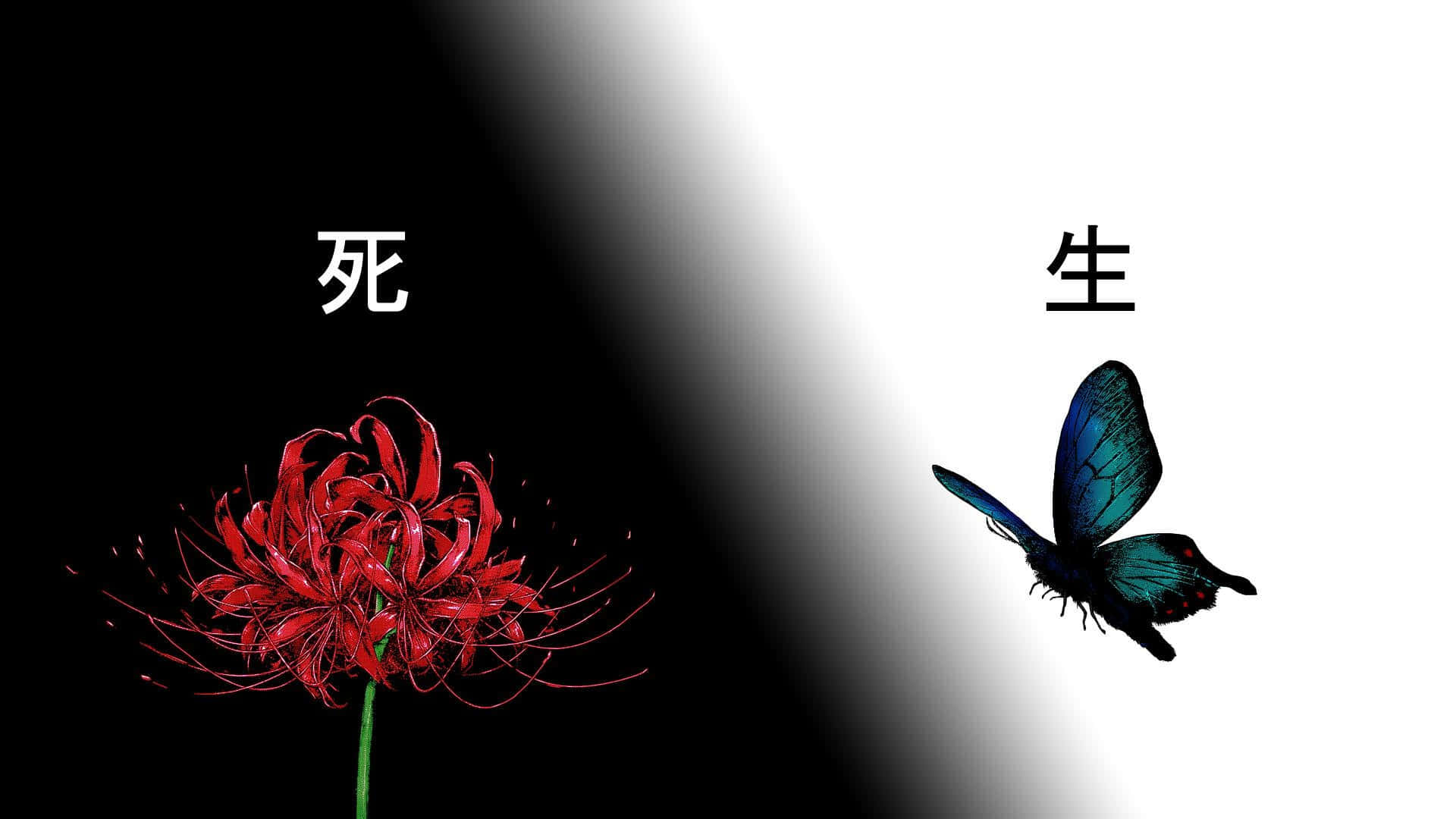 Tokyoghoul Flor Y Mariposa Fondo de pantalla