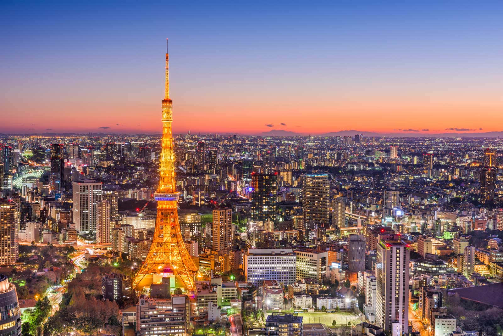 Tokyo Tower lights up the night sky in Japan