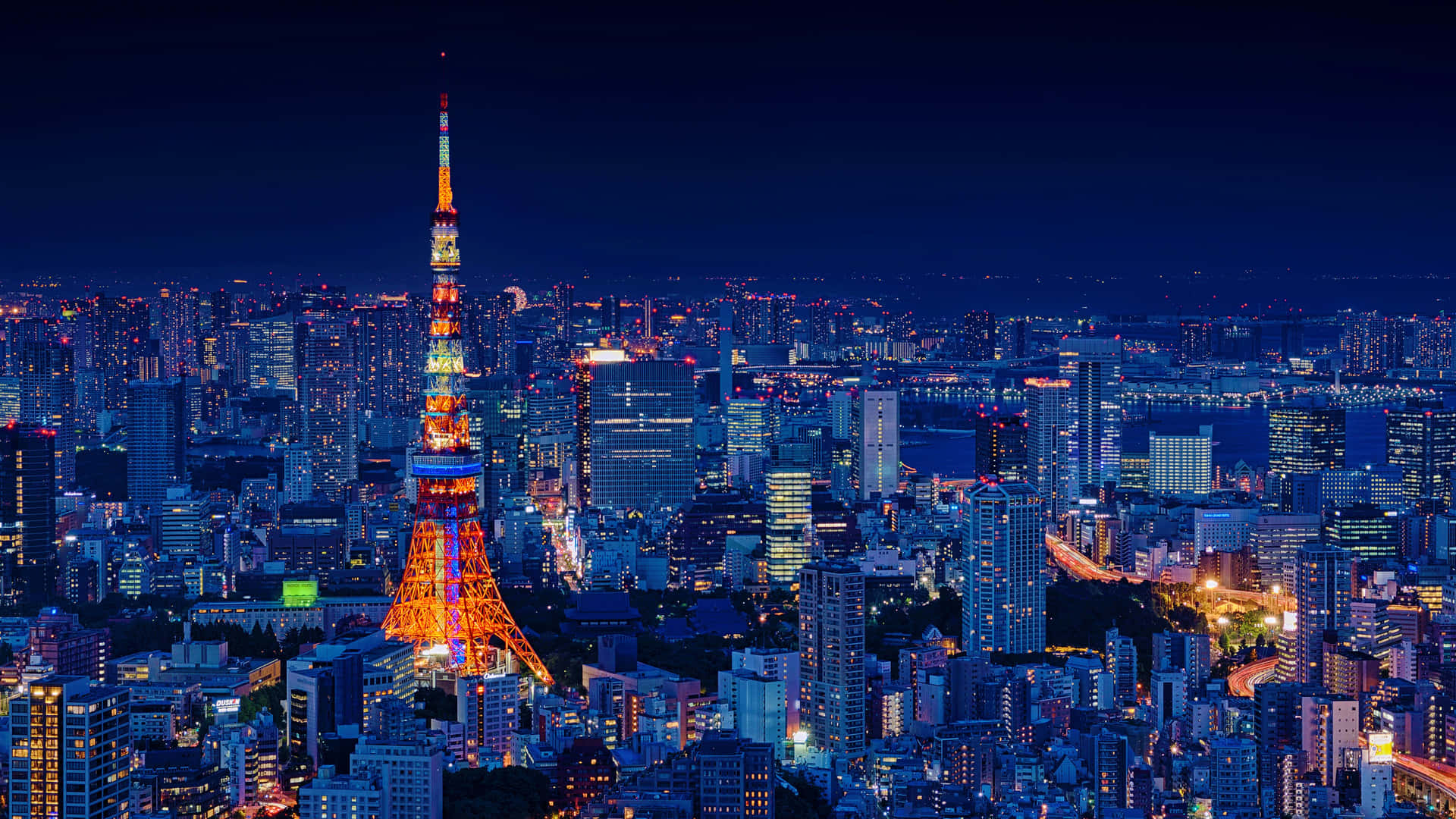 Tokyo Nights Shine Brightly