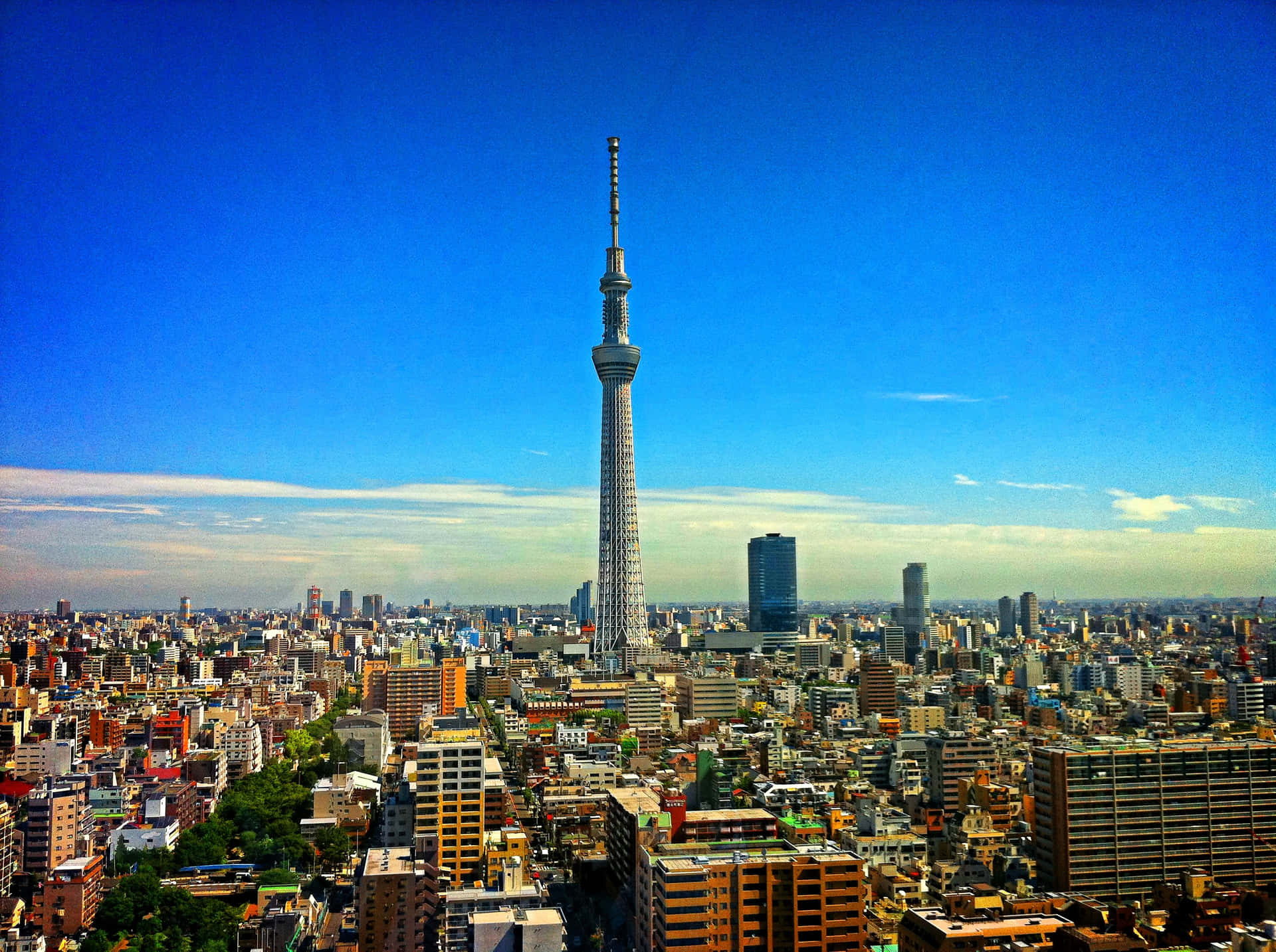 Utforskaden Pulserande Staden Tokyo Och Fördjupa Dig I Dess Unika Kultur.