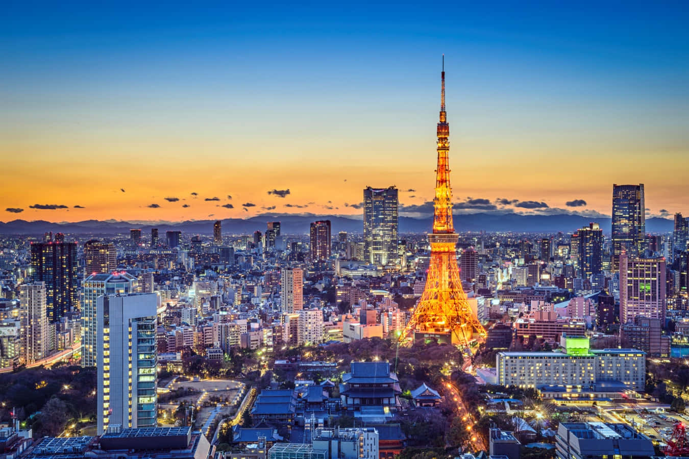 Nächtlicheaussicht Auf Die Skyline Von Tokio