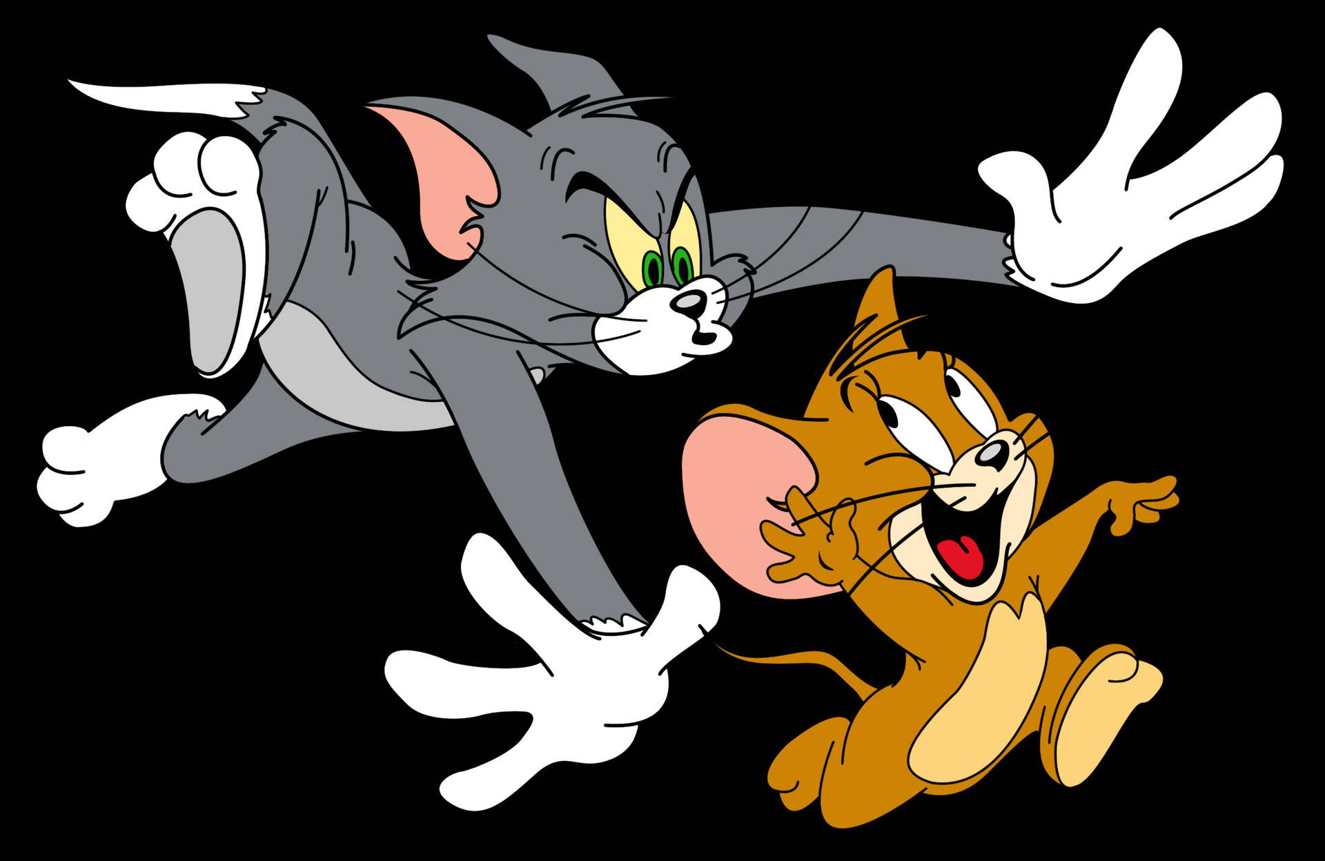Tom And Jerry Cartoon Chase Down